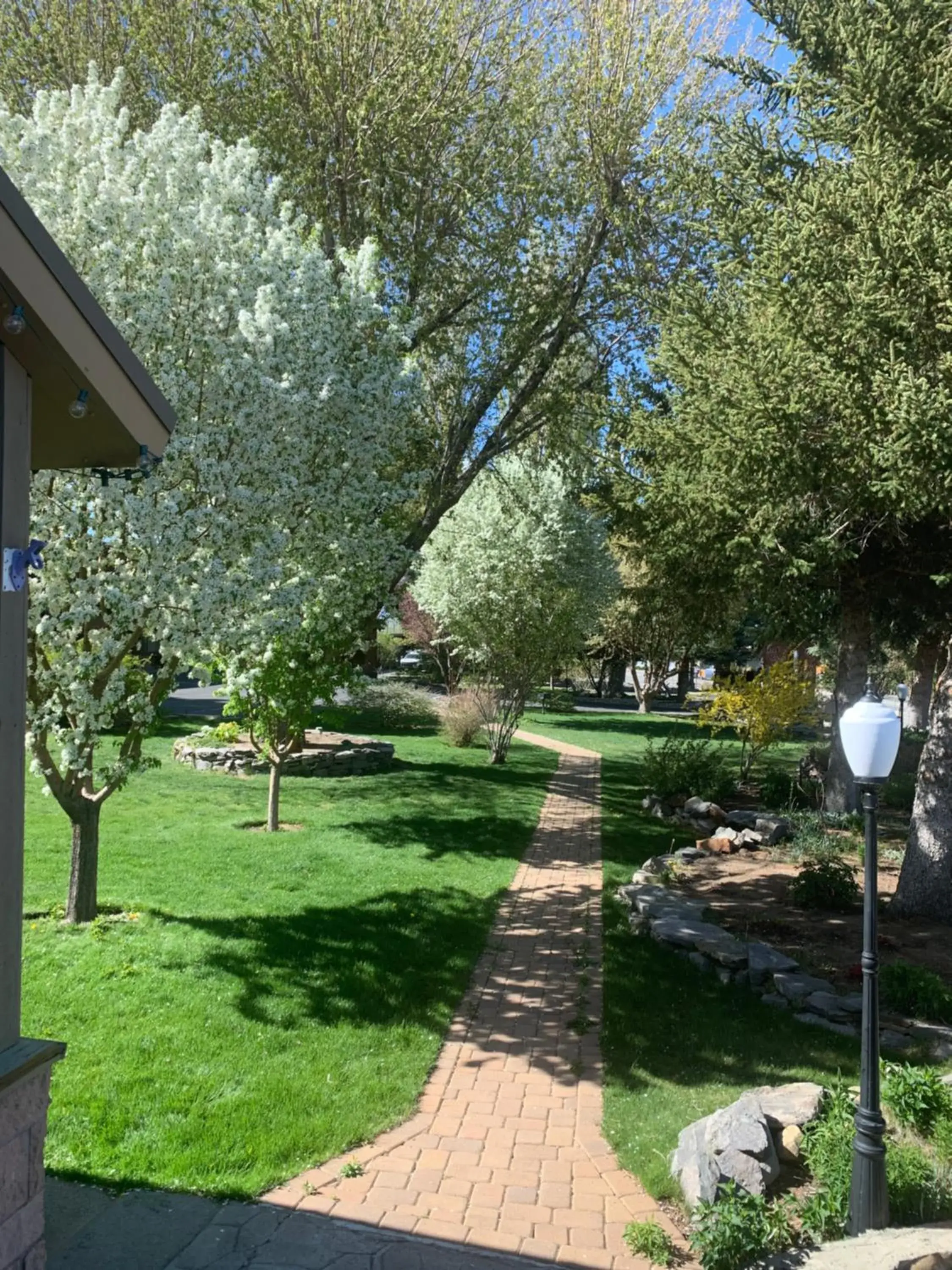 Restaurant/places to eat in Lake View Lodge Restaurant/places to eat in Lake View Lodge