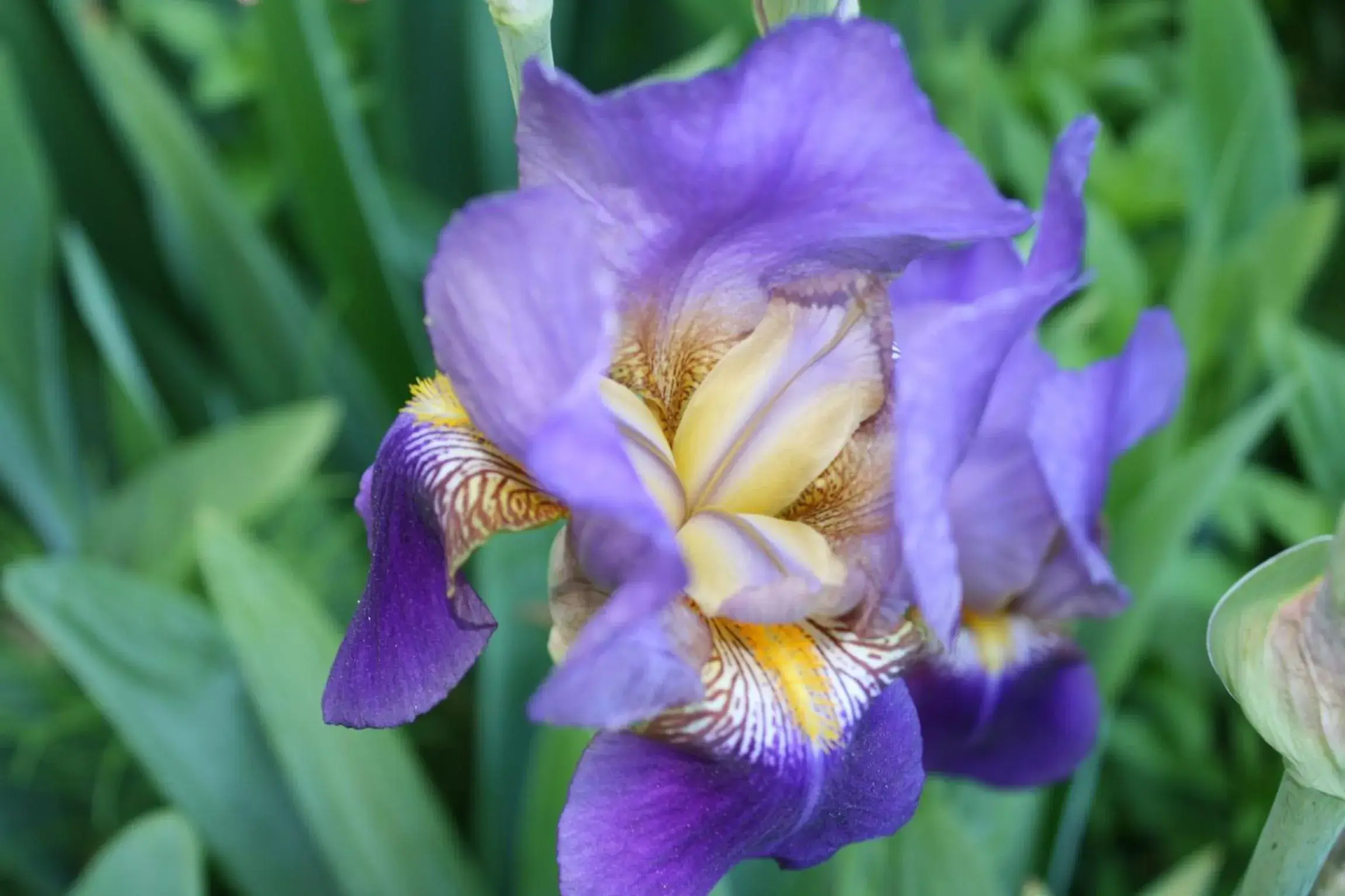 Other in Lake View Lodge Other in Lake View Lodge