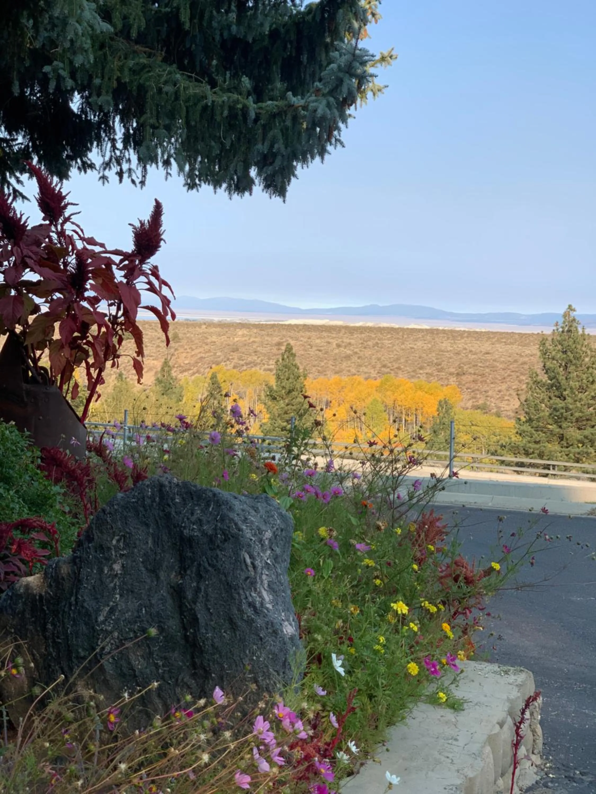 View (from property/room) in Lake View Lodge