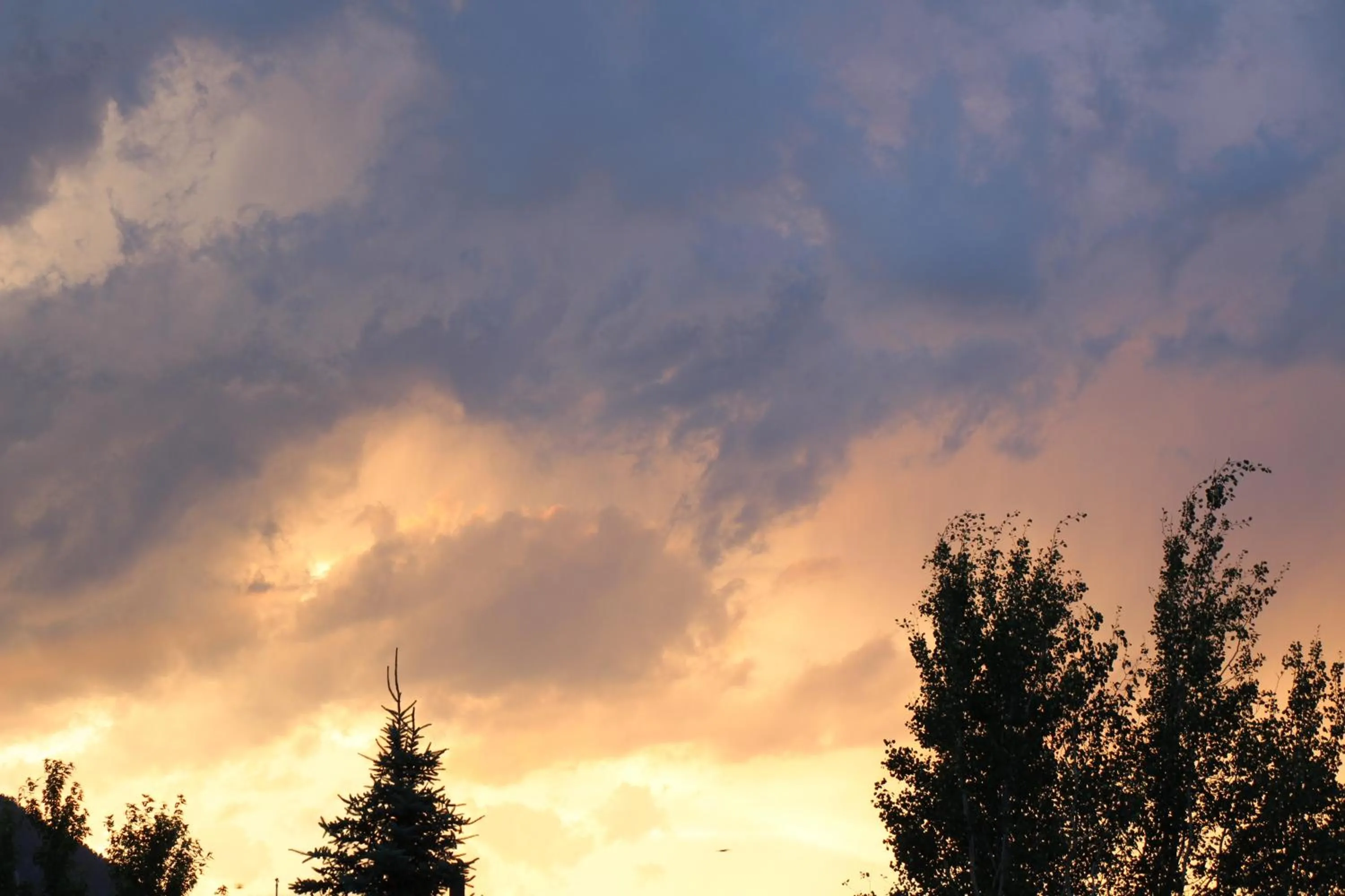 View (from property/room) in Lake View Lodge
