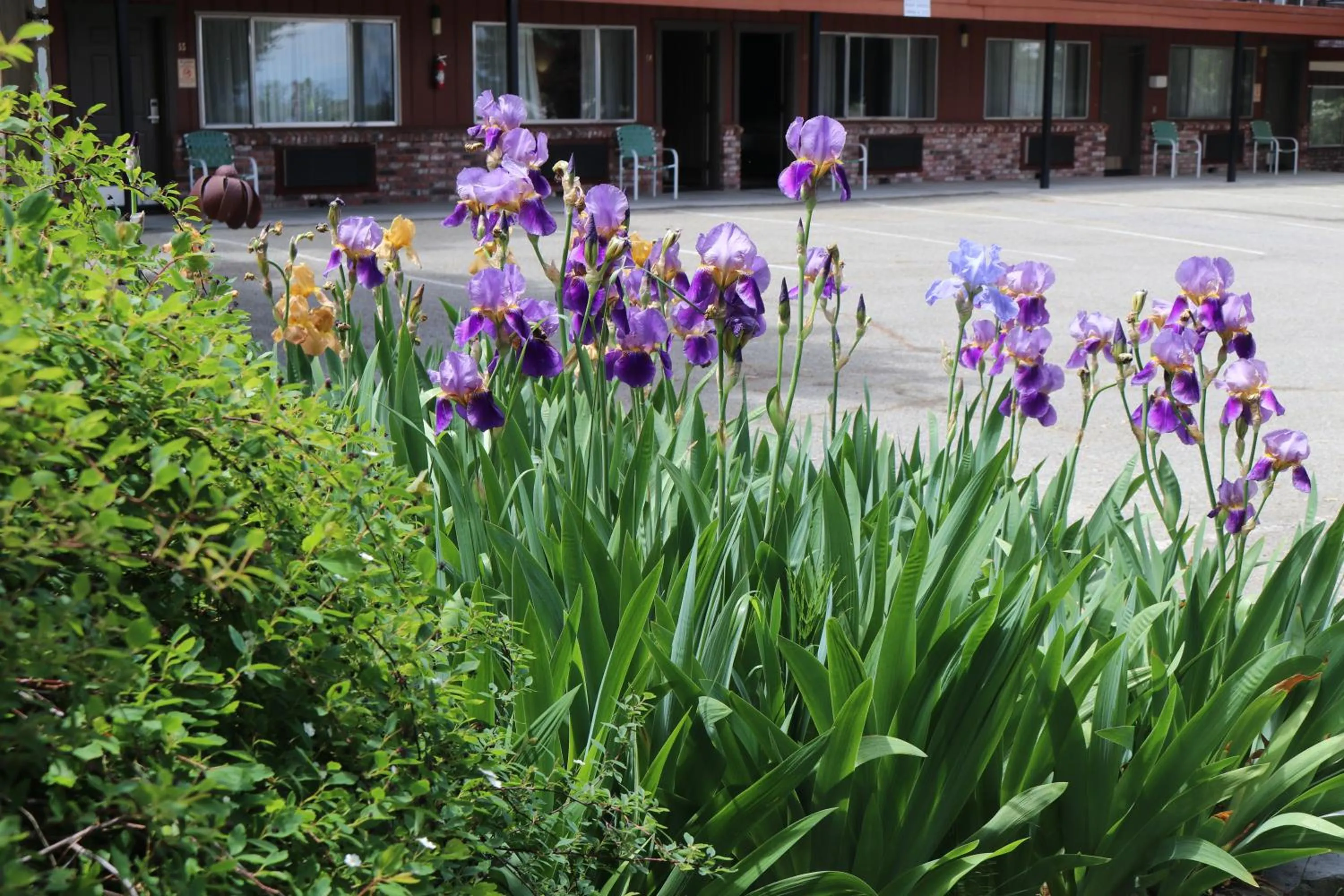 Spring in Lake View Lodge