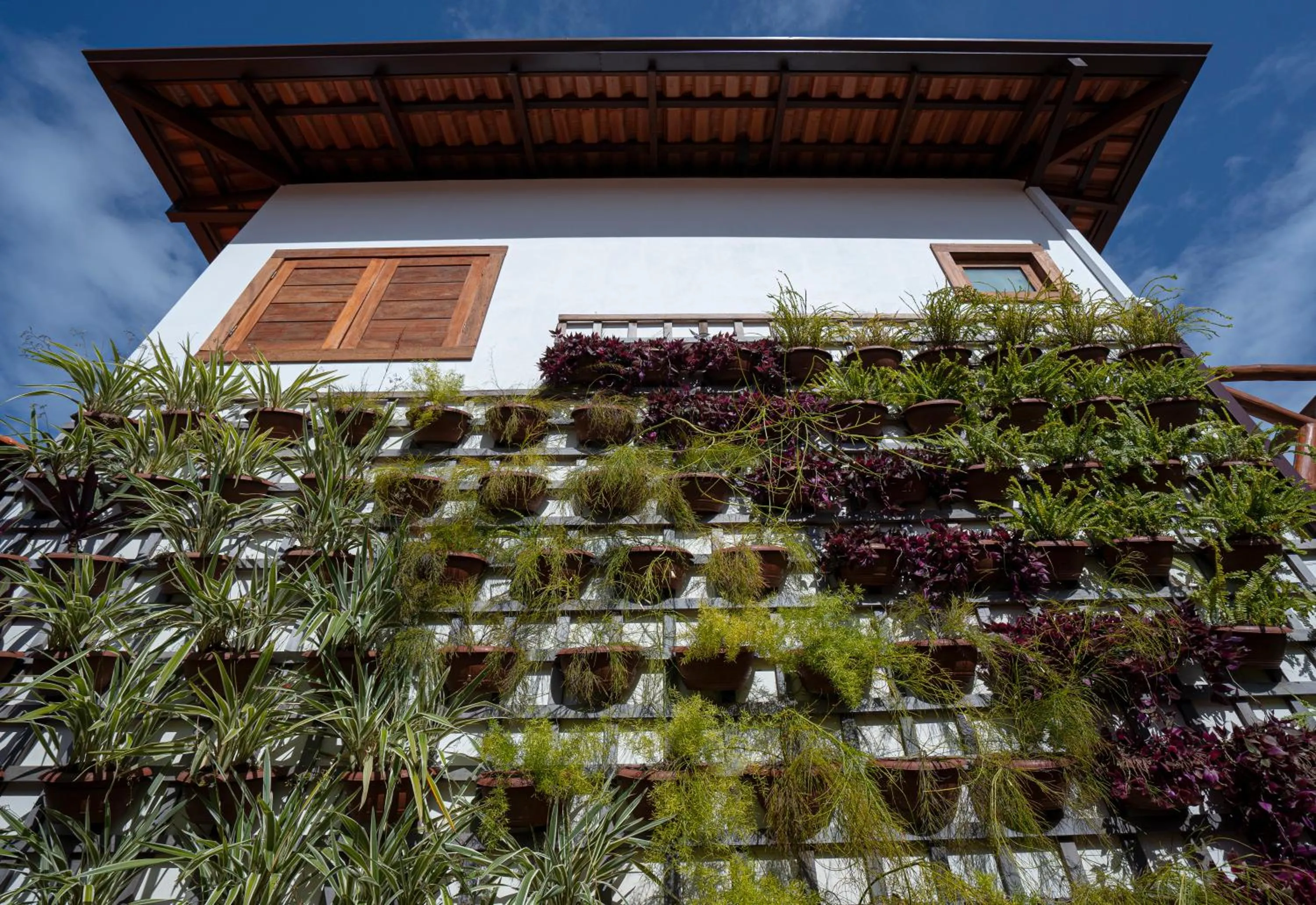 Vila Lua de Taipu - Taipu de Fora