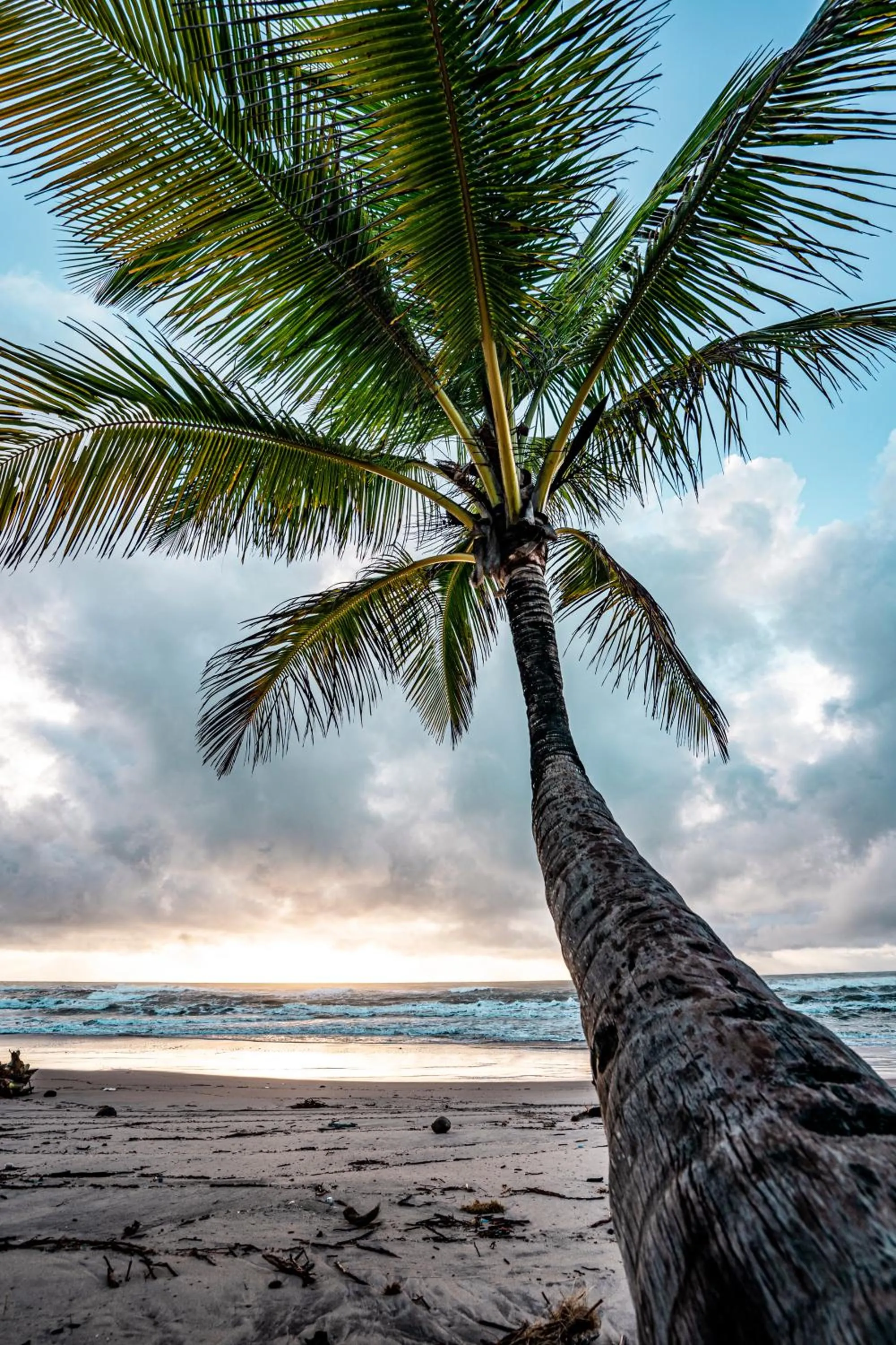 Vila Lua de Taipu - Taipu de Fora