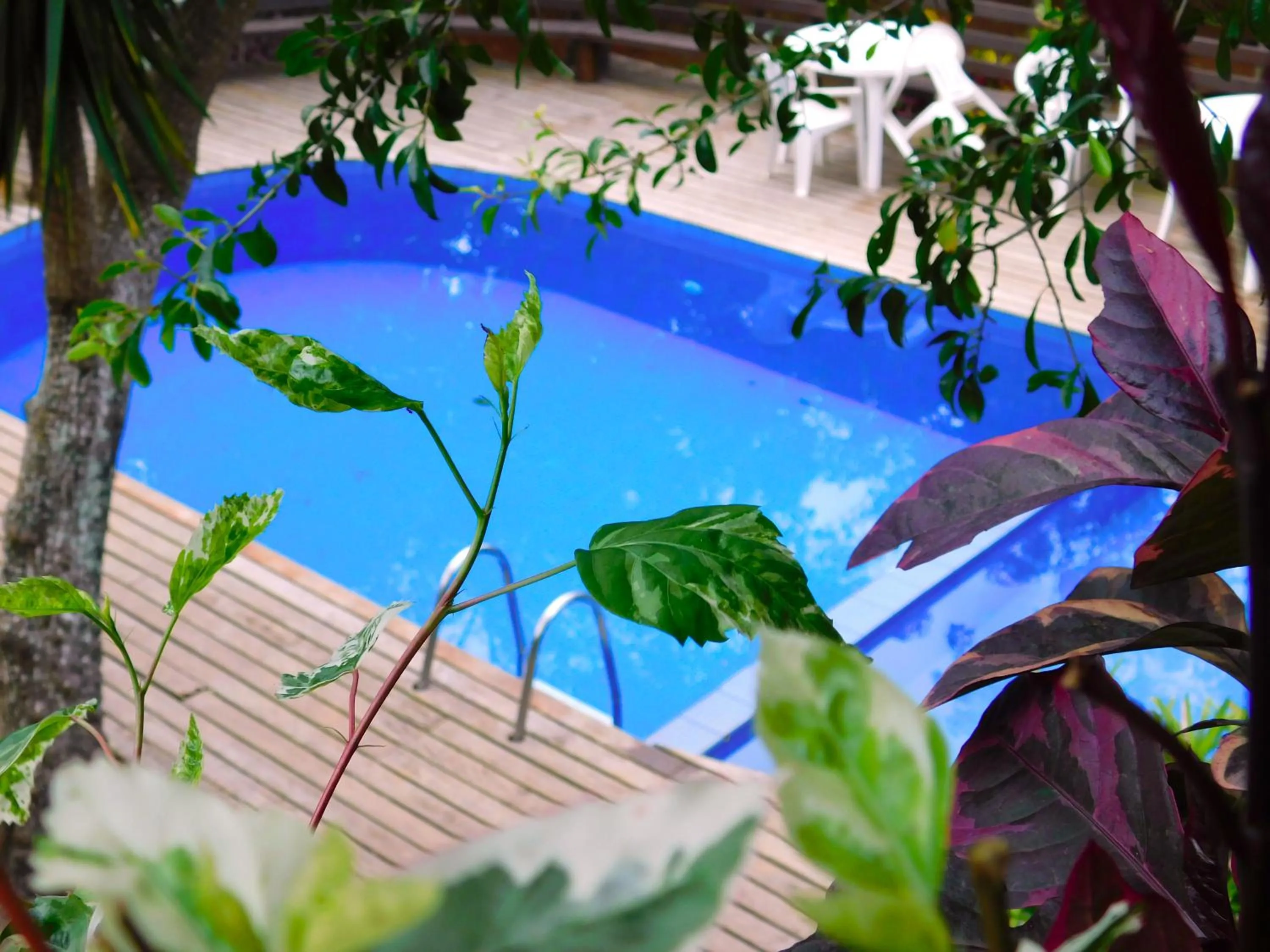Swimming pool in Pousada Happiness - Ferradura