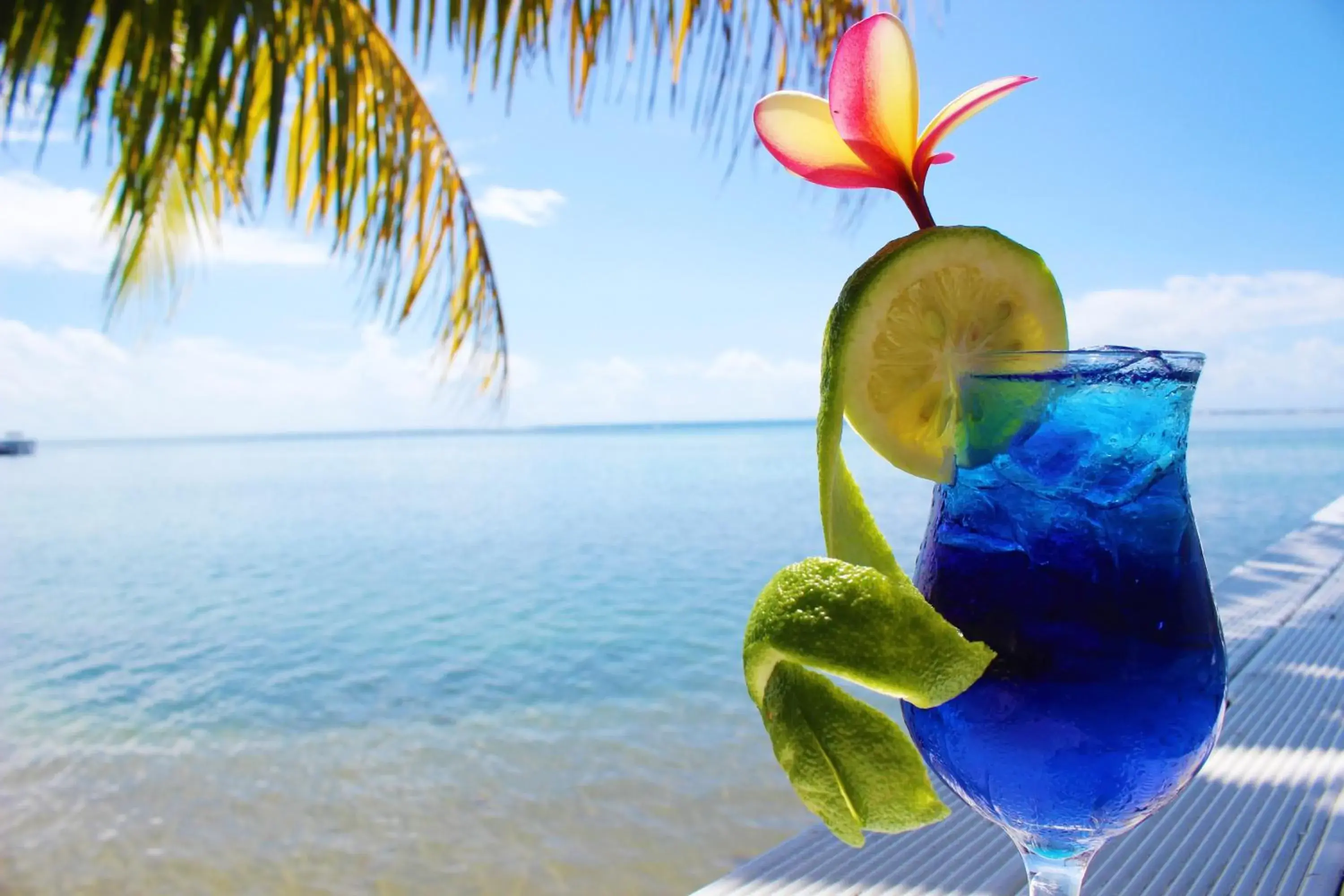 Lounge or bar in Le Uaina Beach Resort Lounge or bar in Le Uaina Beach Resort