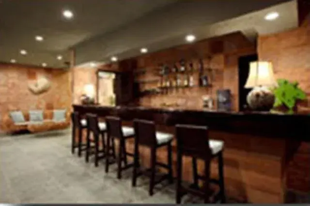 Lounge or bar in Hanamitsu Hotel & Spa Lounge or bar in Hanamitsu Hotel & Spa