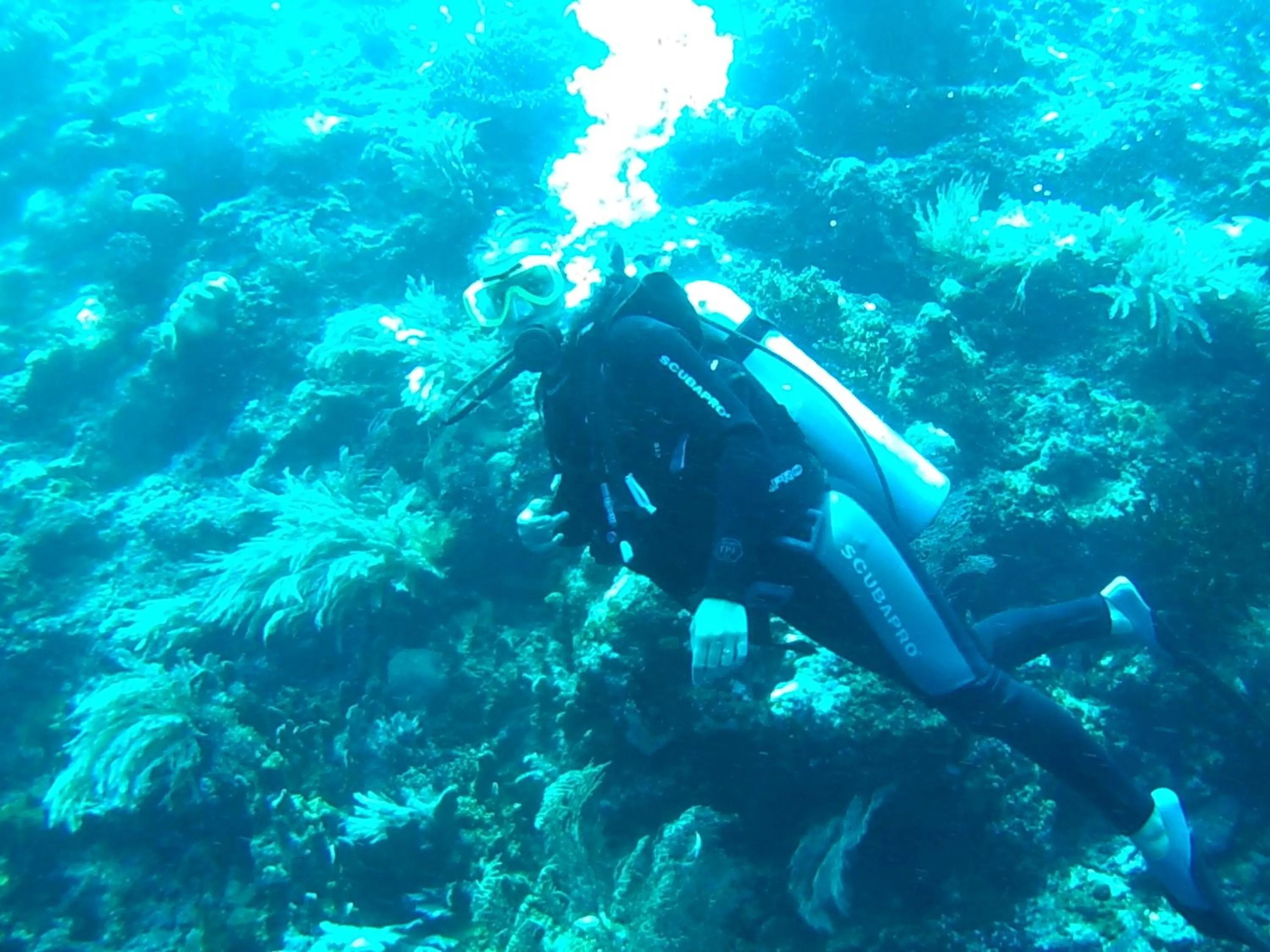 Wakatobi Patuno Diving and Beach Resort by SAHID