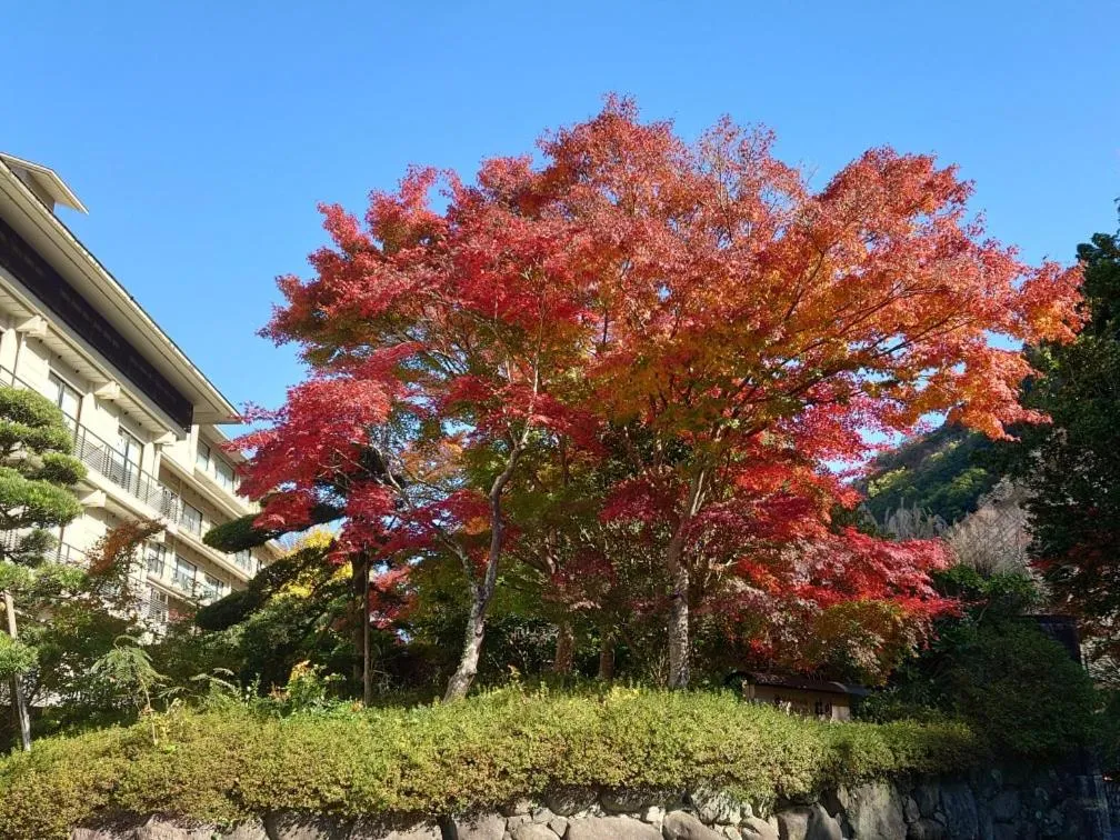 Shuzenji Onsen Katsuragawa