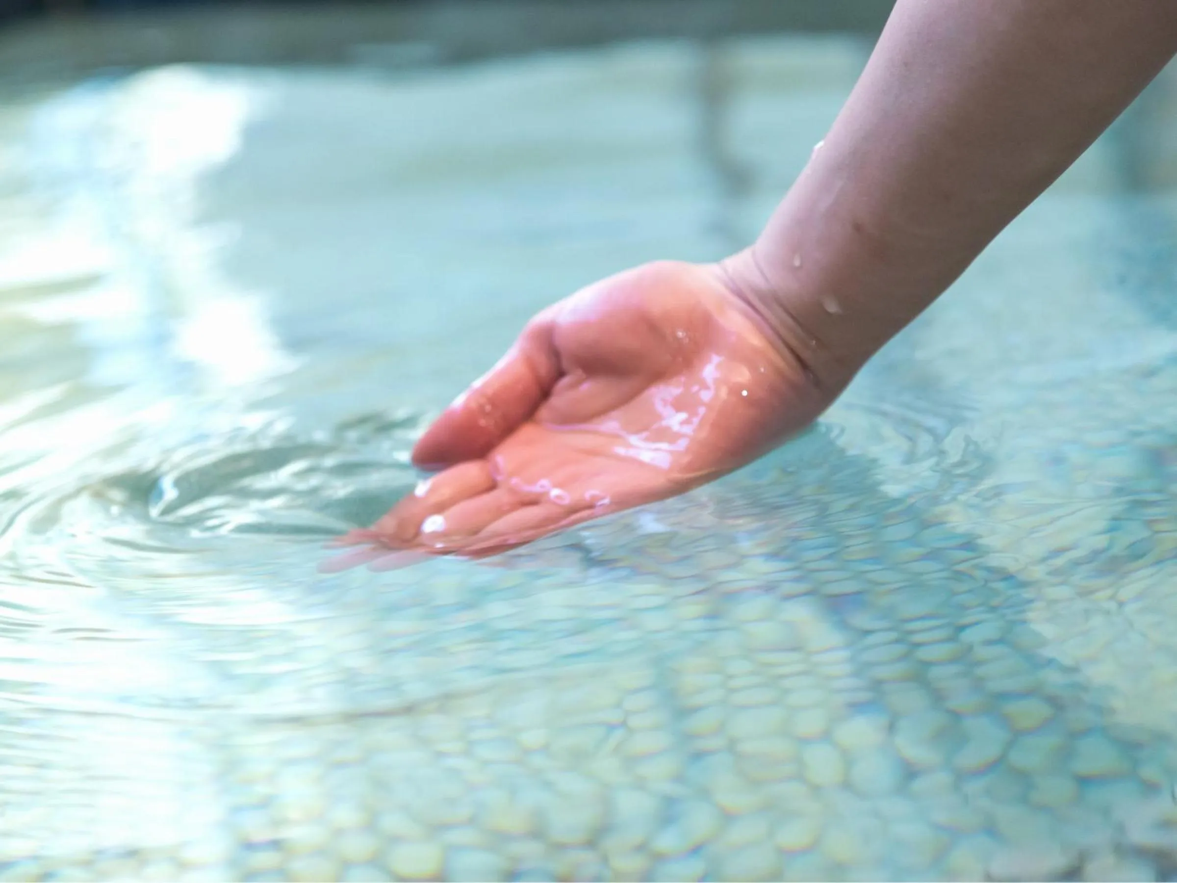 Shuzenji Onsen Katsuragawa