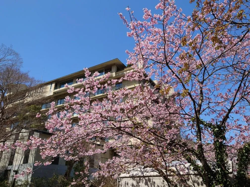 Shuzenji Onsen Katsuragawa