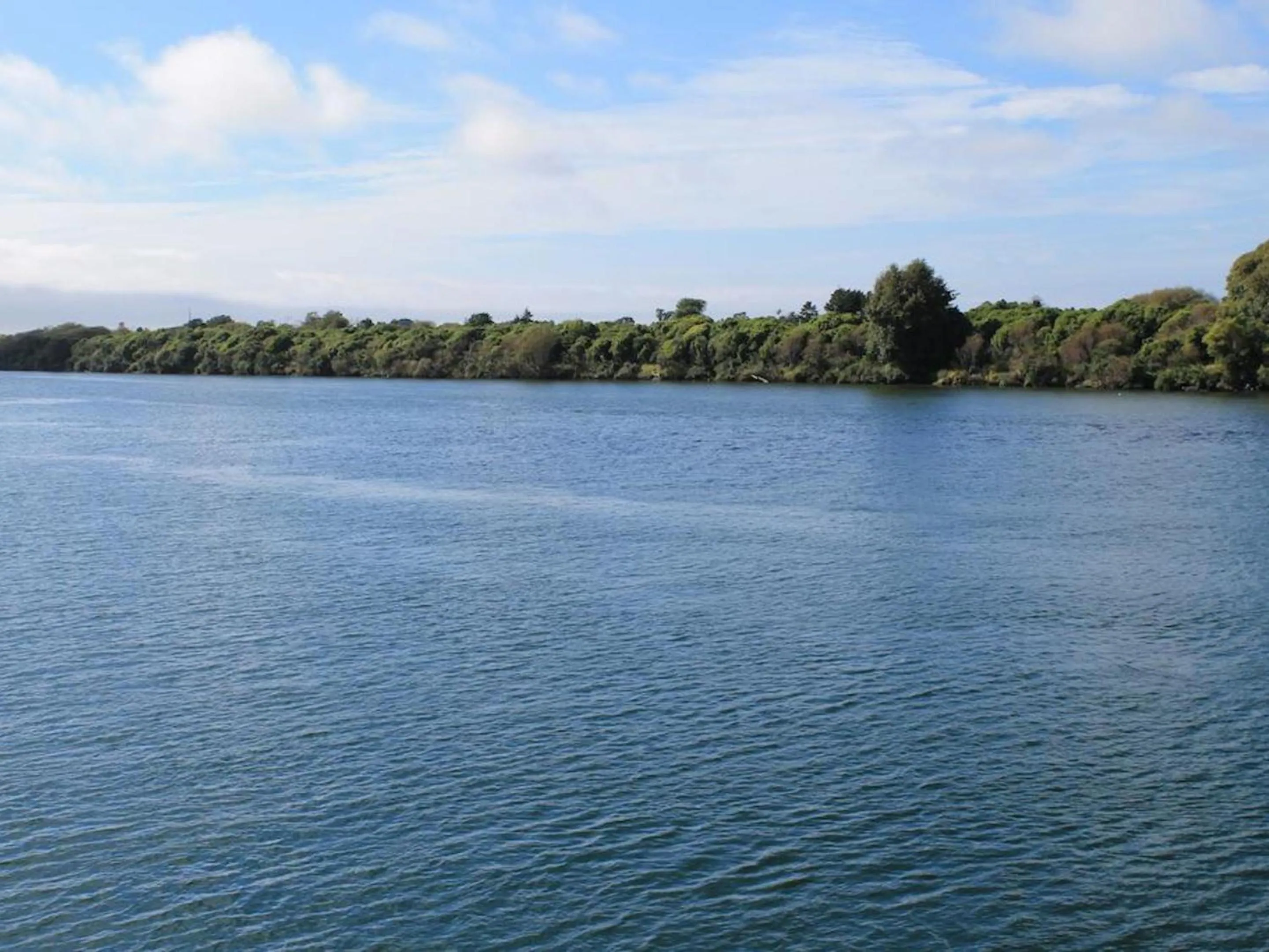 Natural landscape in Buller Bridge Motel