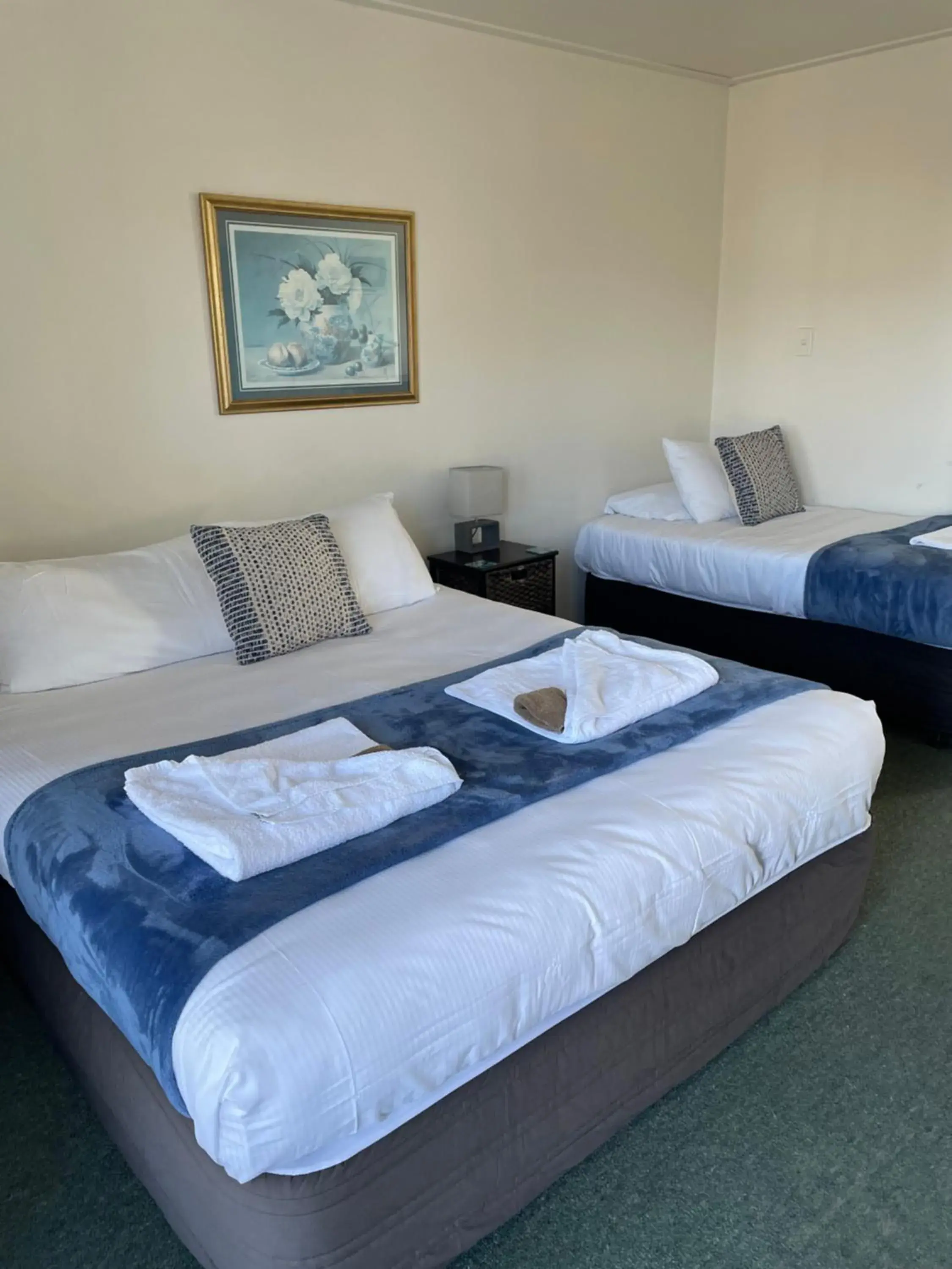 Studio (3 Adults) in Buller Bridge Motel Studio (3 Adults) in Buller Bridge Motel