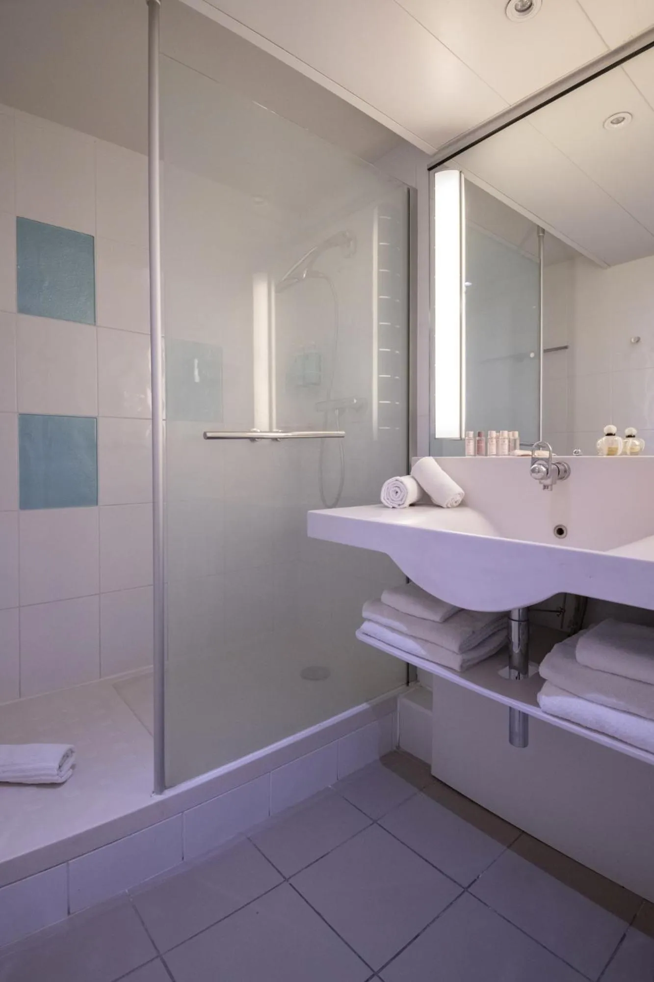 Bathroom in Novotel Antibes Sophia Antipolis
