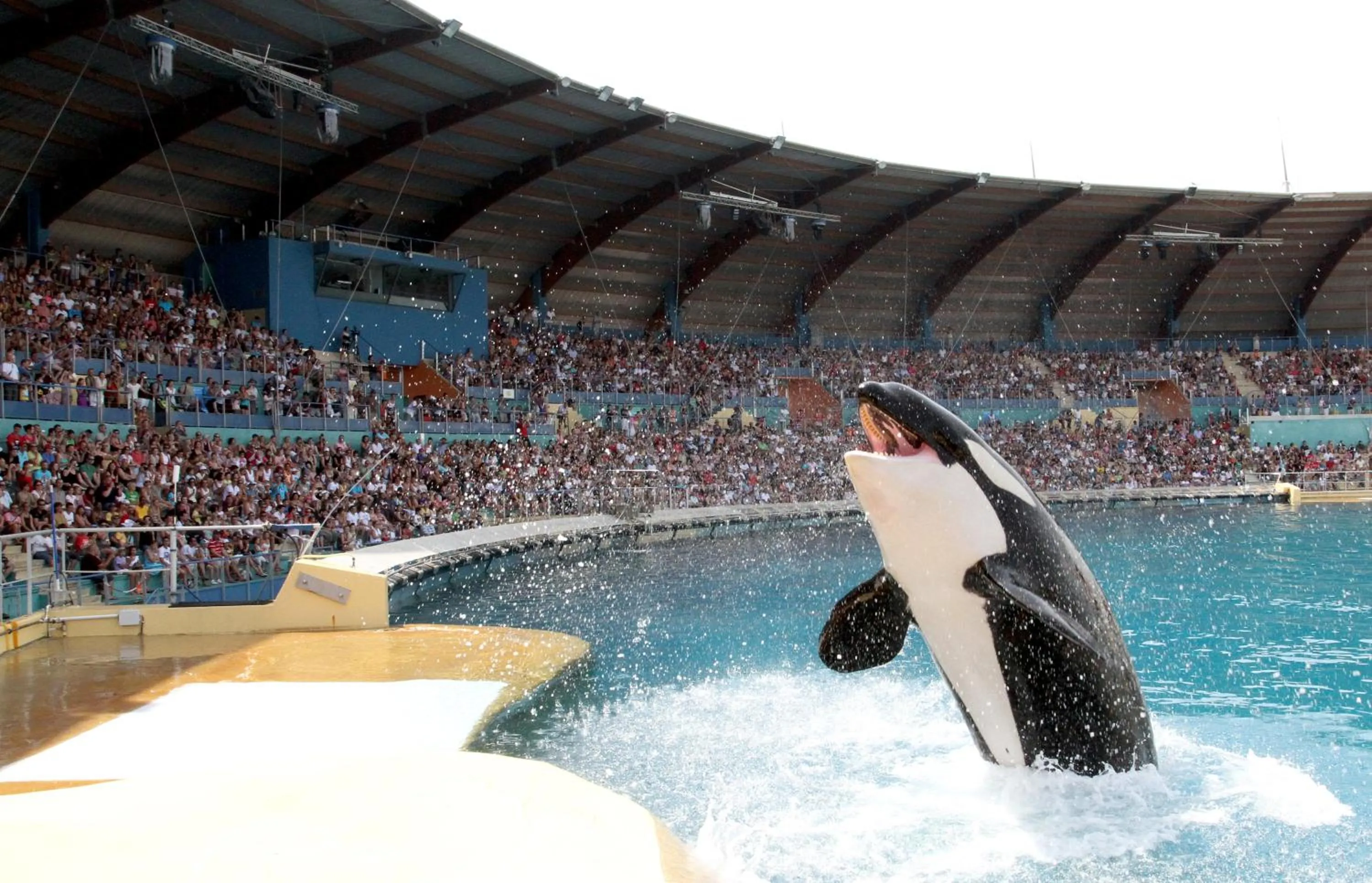 Other in Novotel Antibes Sophia Antipolis