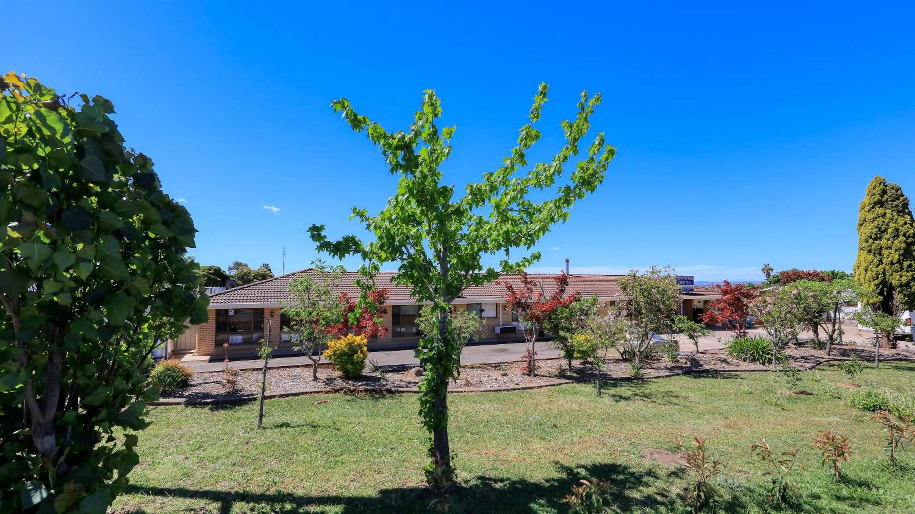 Garden in Top of the Town Motel