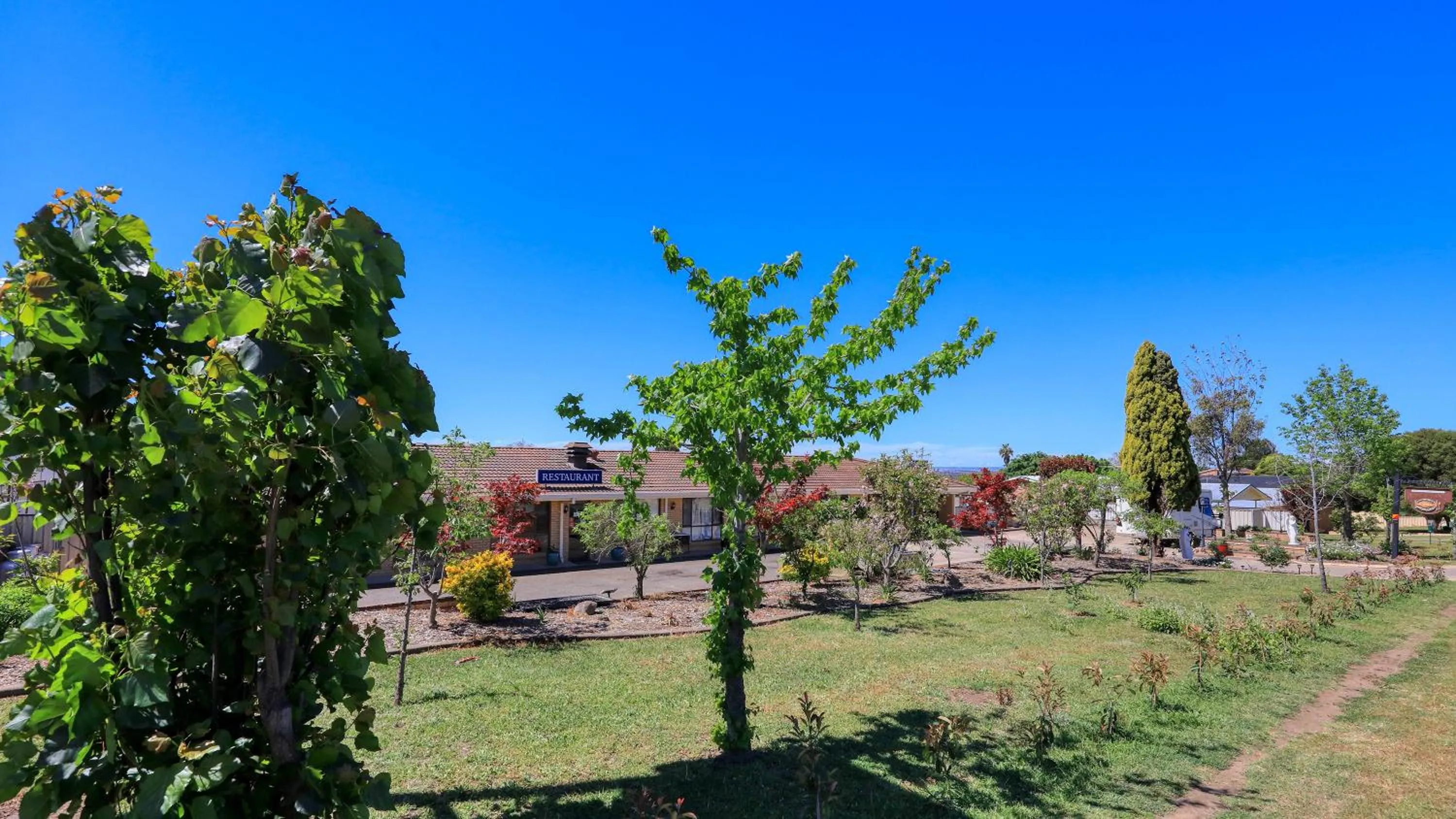 Garden in Top of the Town Motel