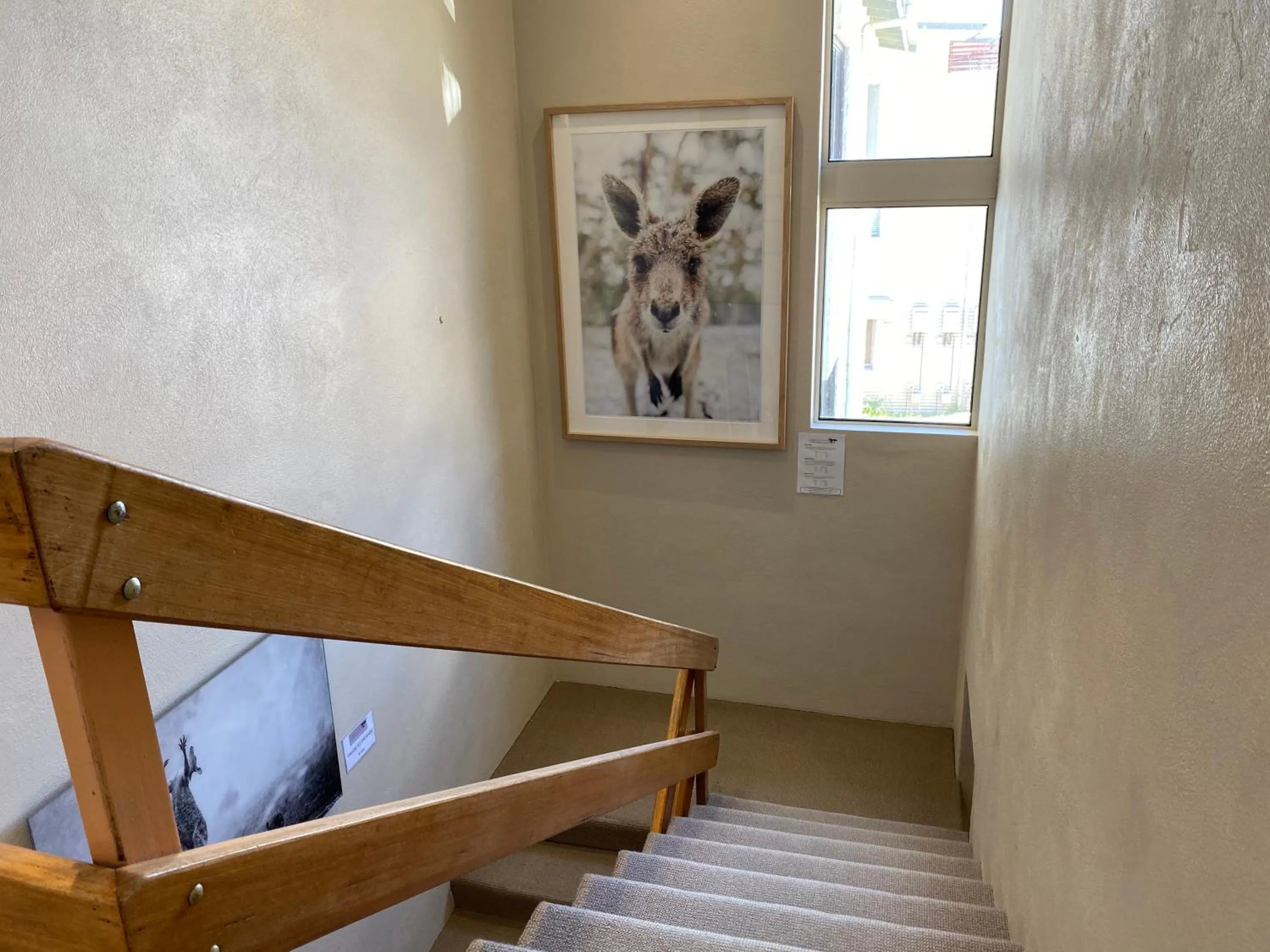 Property building in Jindy Inn