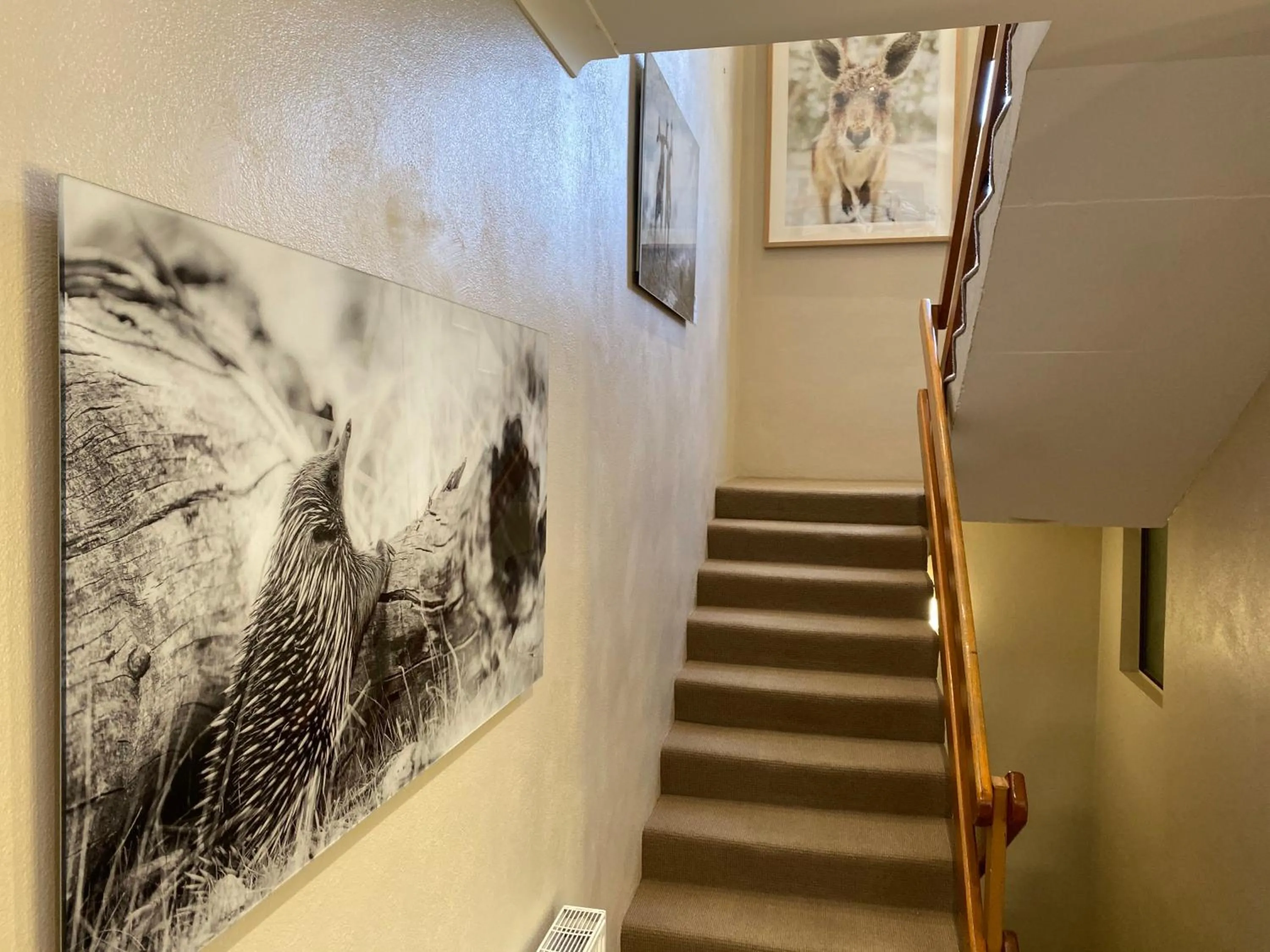 Property building in Jindy Inn