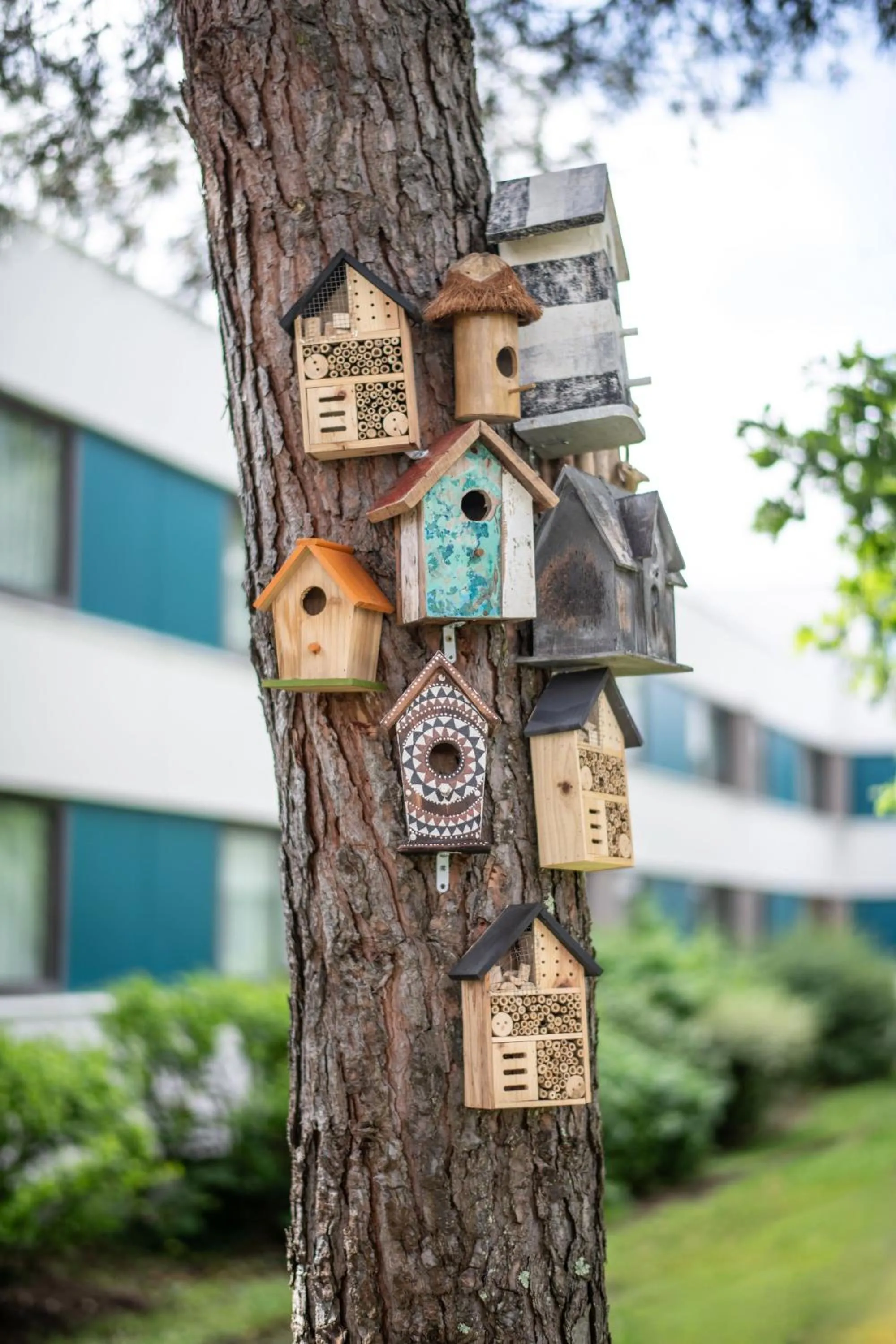 Garden view in Novotel Bordeaux Mérignac