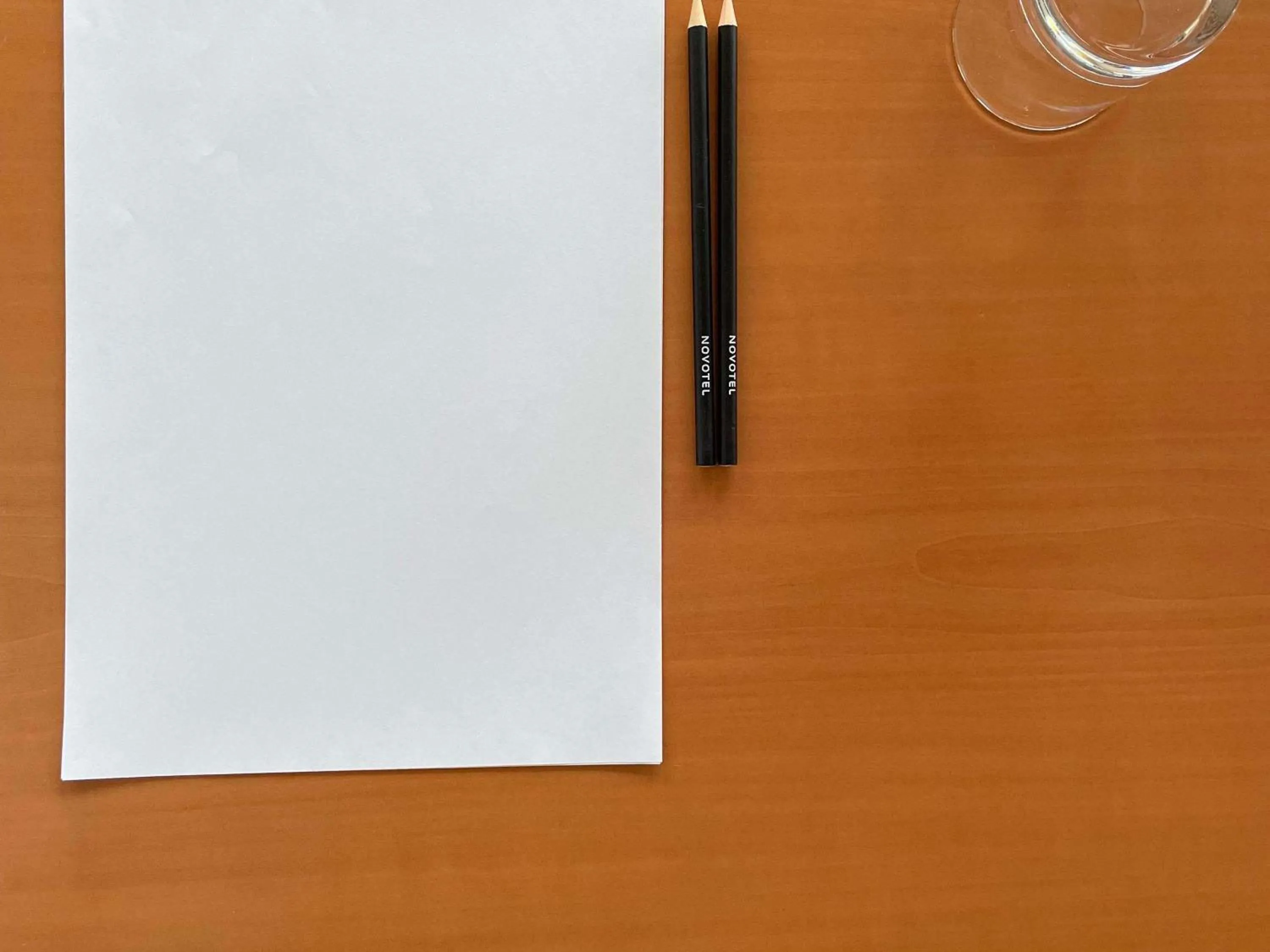 Meeting/conference room in Novotel Bordeaux Mérignac