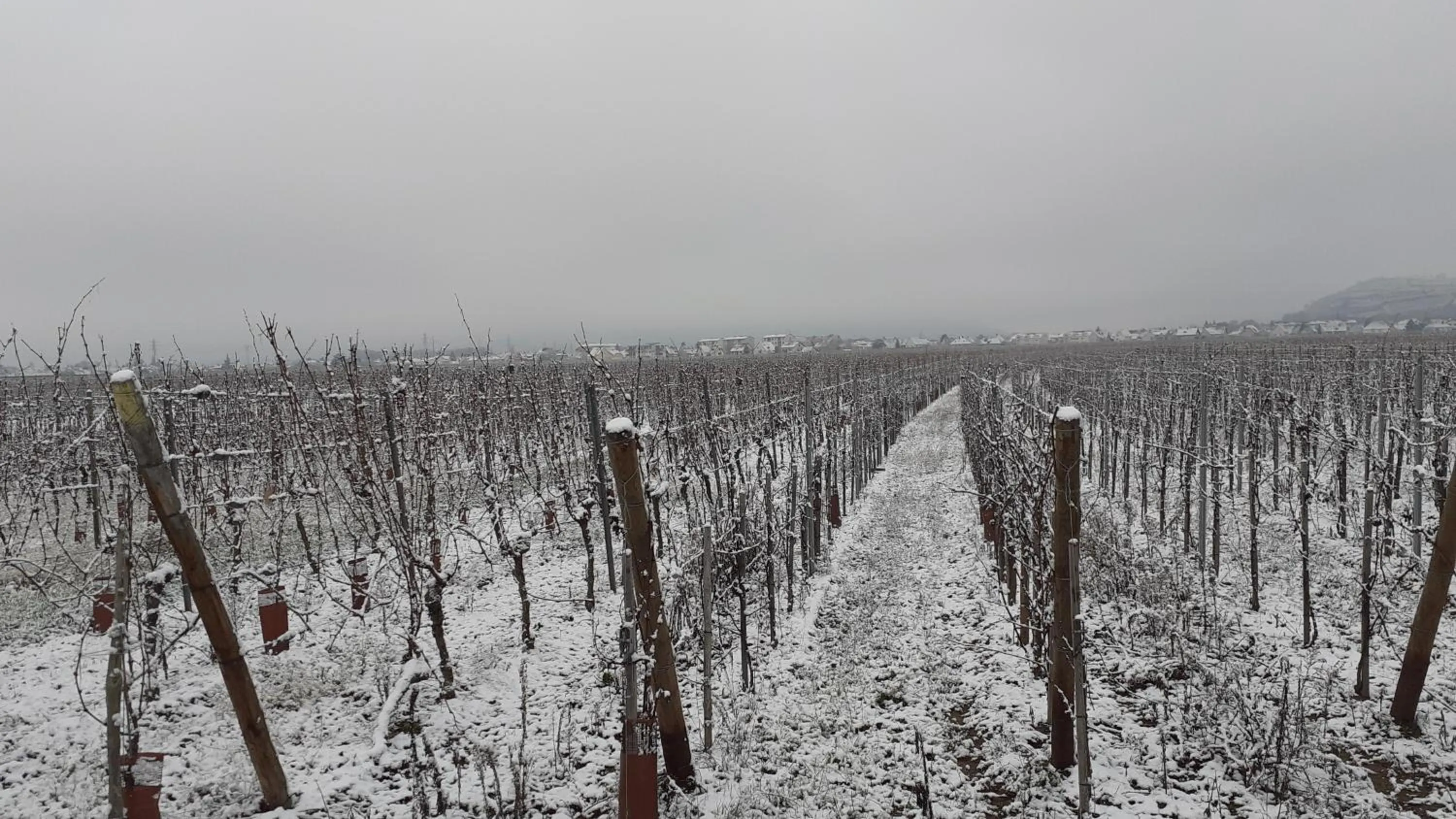 aux pieds des vignes chambre classée 2clefs