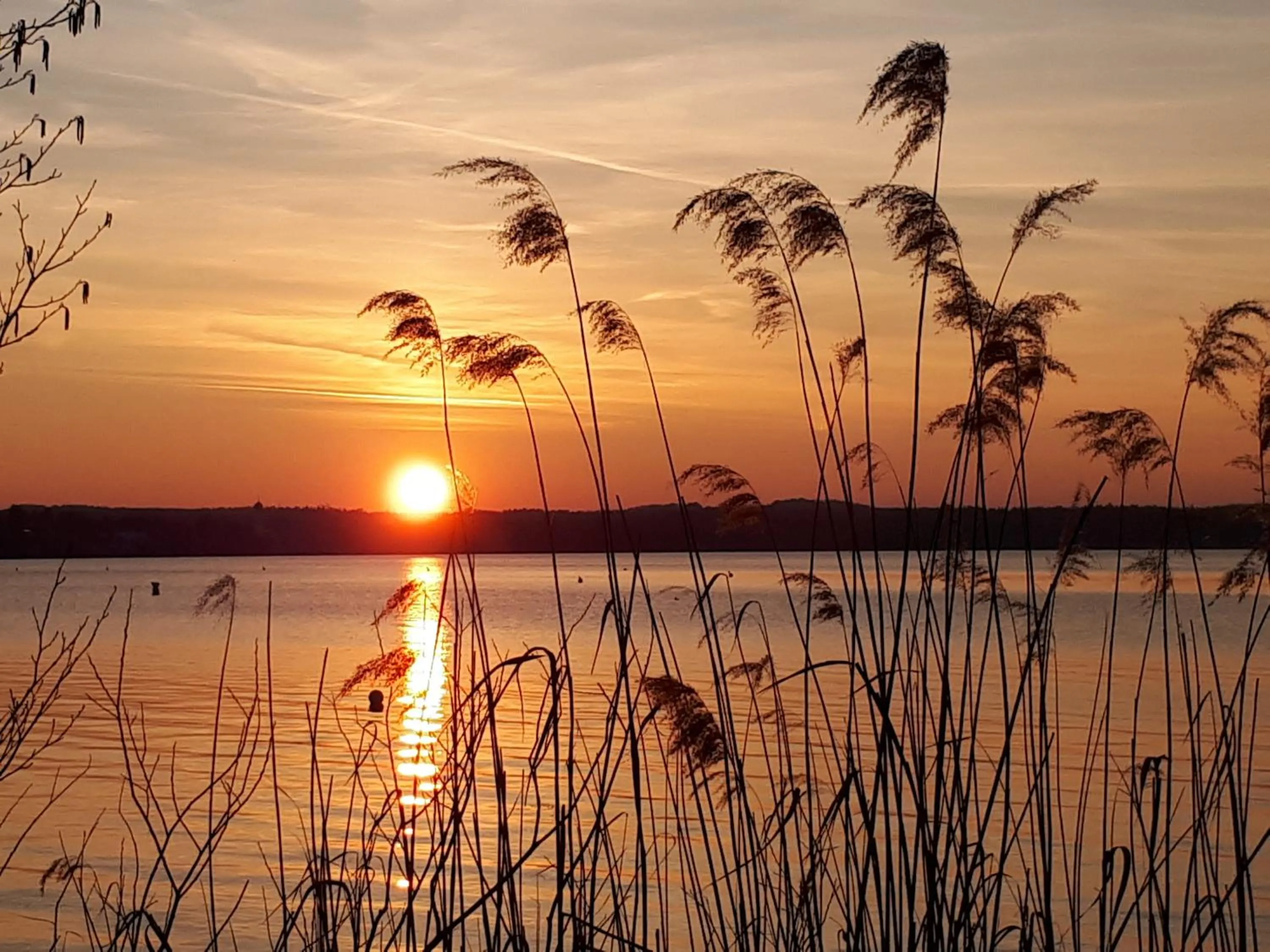 Natural landscape in Hotel Landgasthof Schöntag