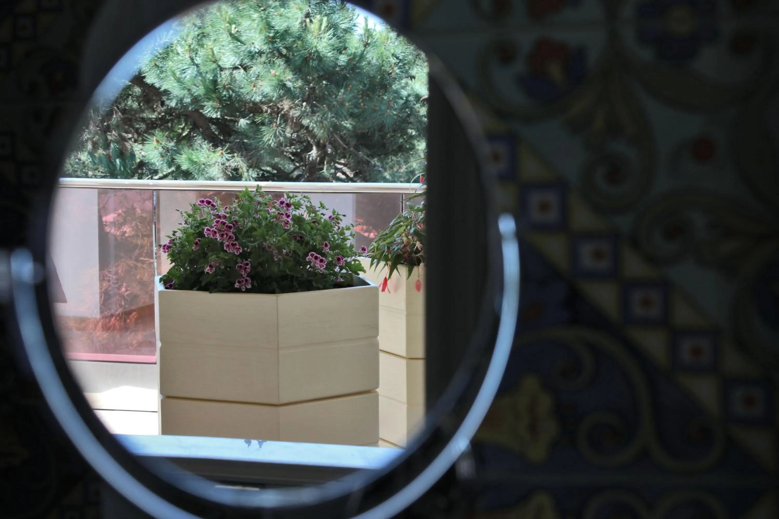 Balcony/Terrace in Boutique Hotel Paradiso Bovelacci
