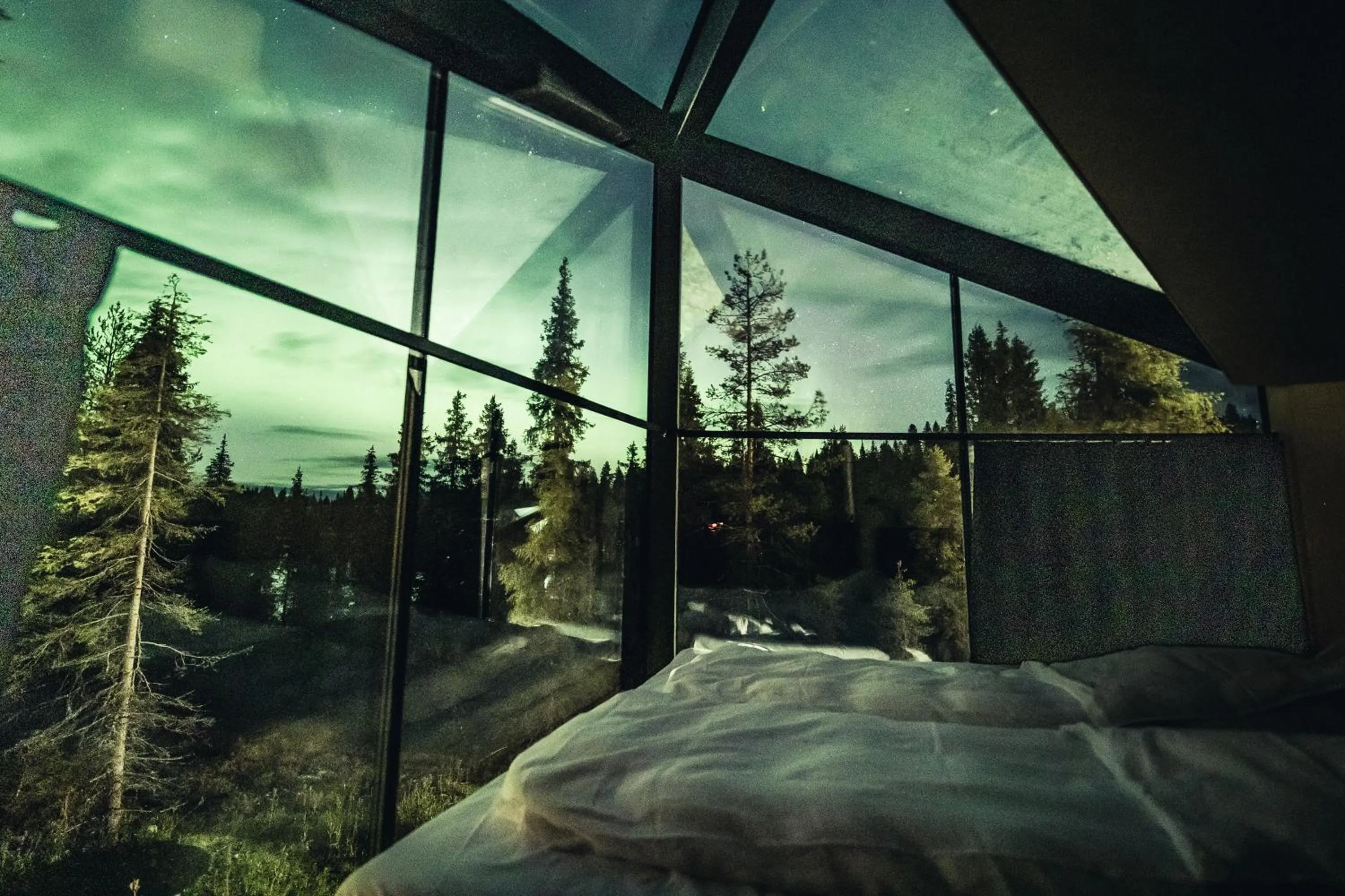 View (from property/room) in Magical Pond Nature Igloos