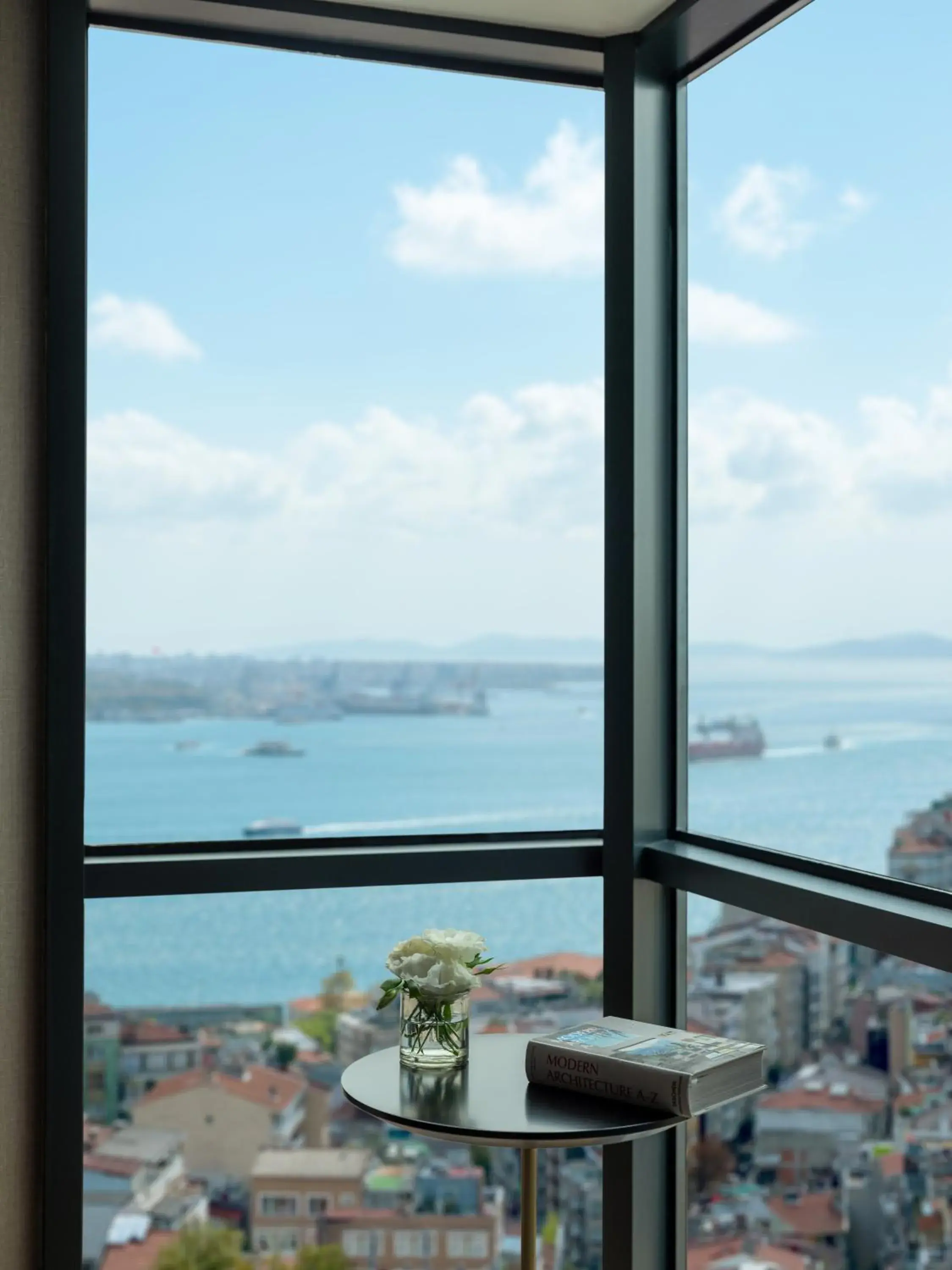 Sea view in Sofitel Istanbul Taksim Sea view in Sofitel Istanbul Taksim