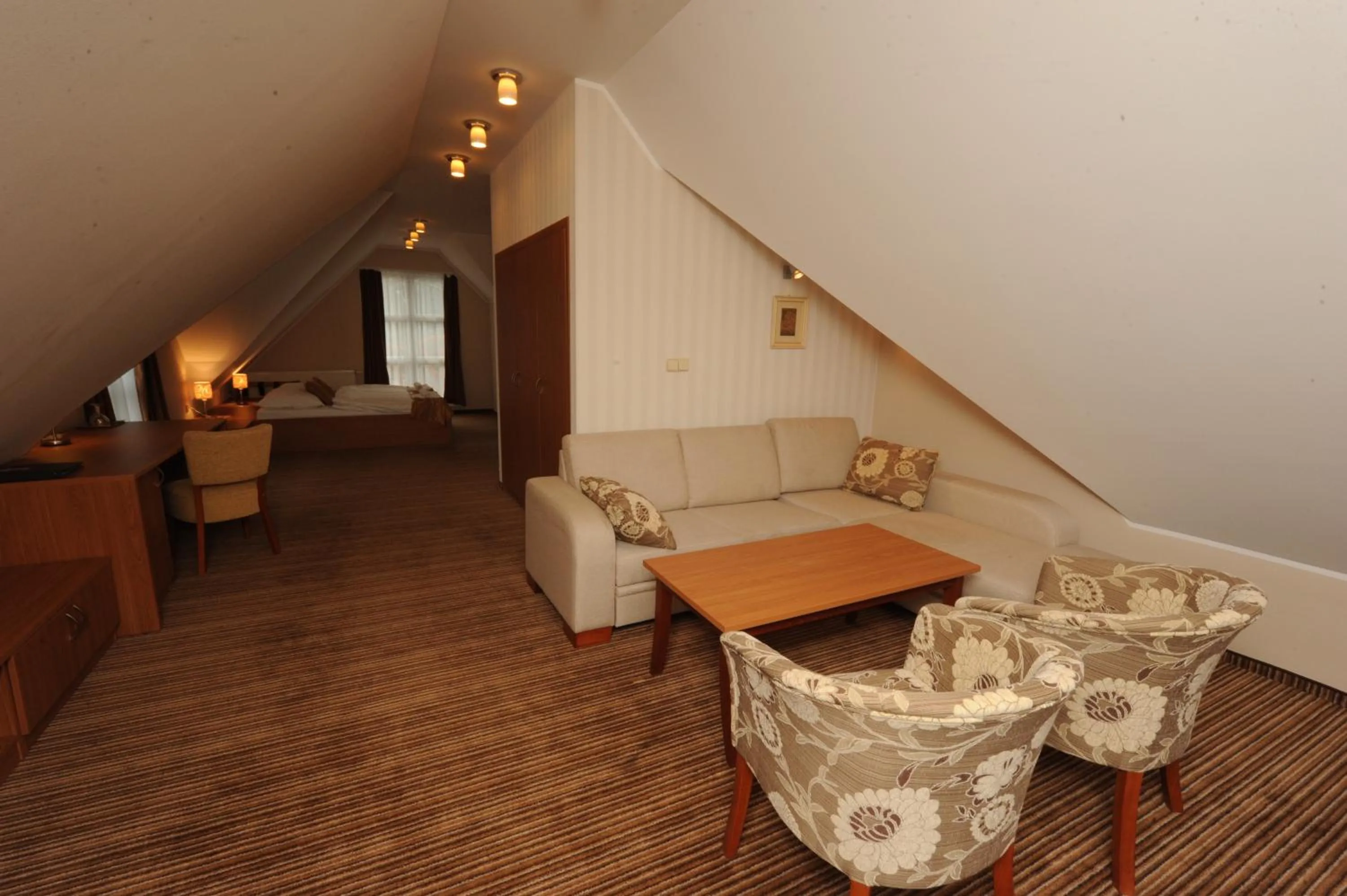 Photo of the whole room in Hotel Encian