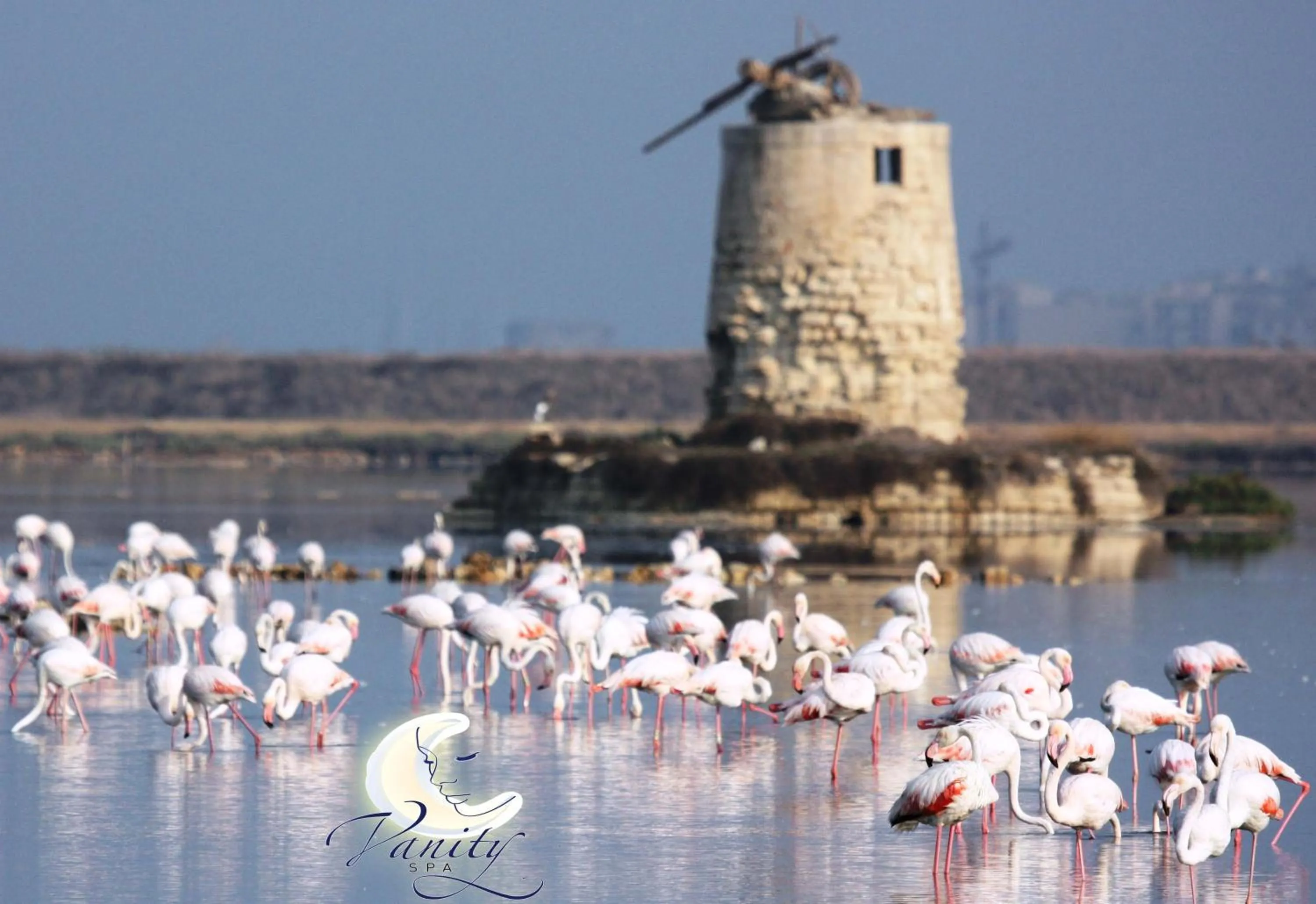 Nearby landmark in Vanity SPA