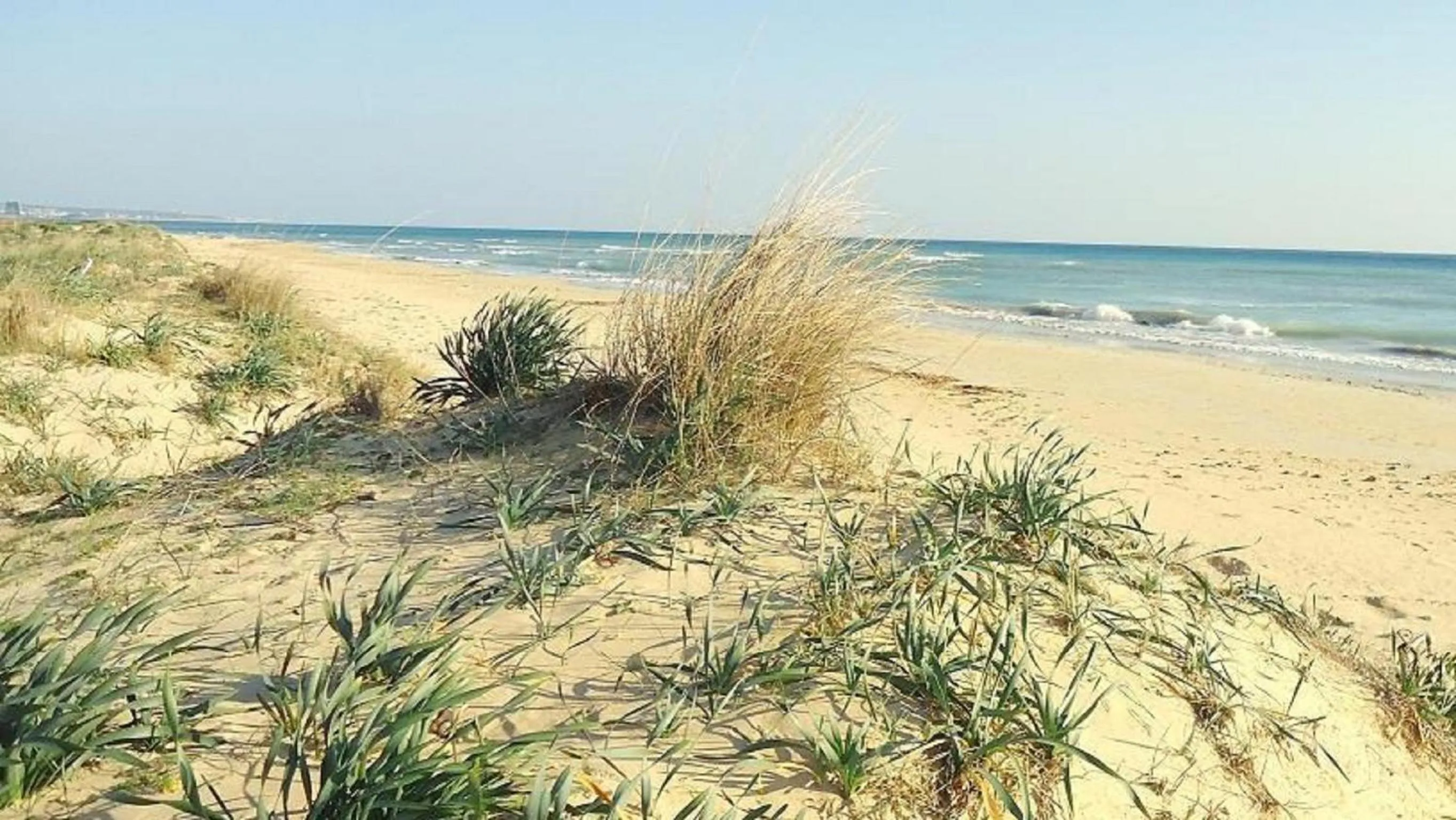 Beach in B&B Aurora Salentina