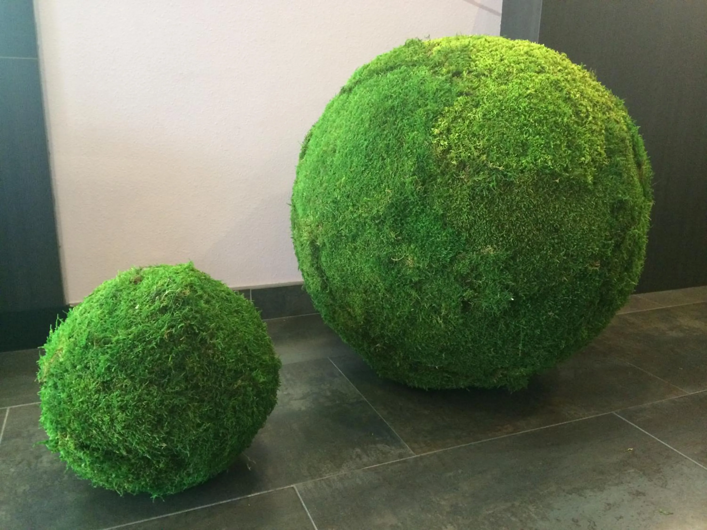 Other in Mercure Quimper Centre