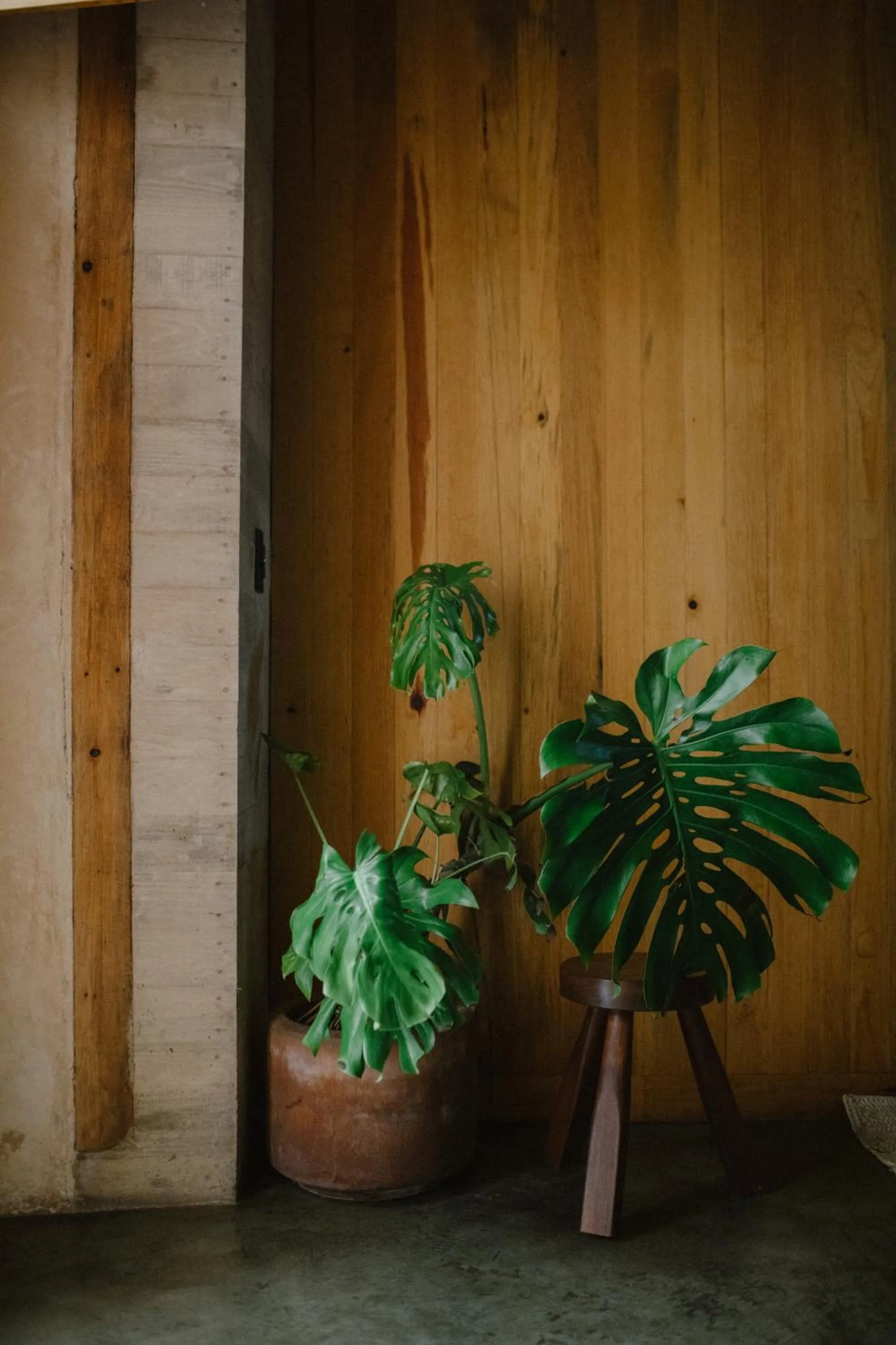 Hotel Escondido Oaxaca, a Member of Design Hotels