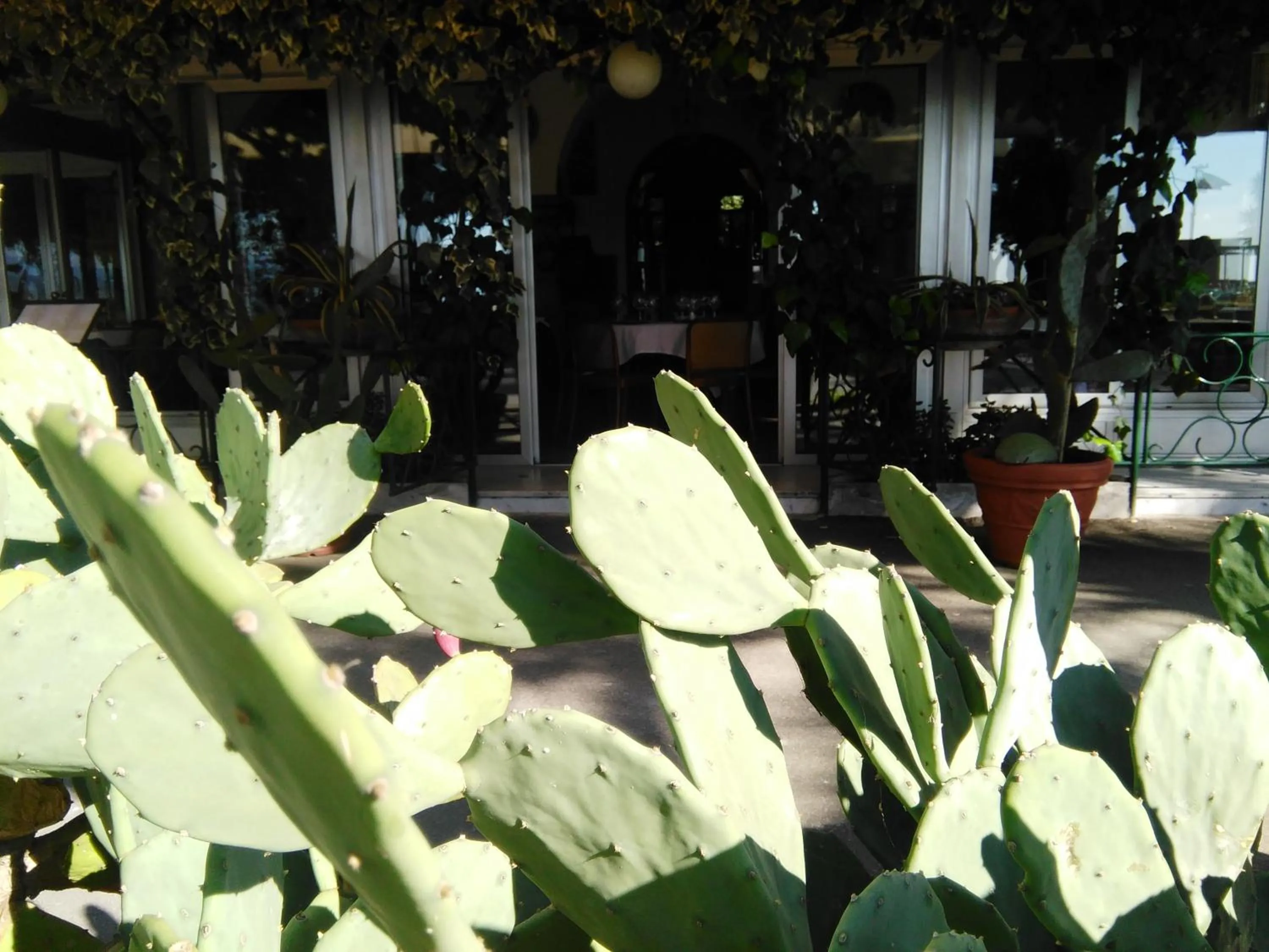 Property building in Ristorante Hotel Mira