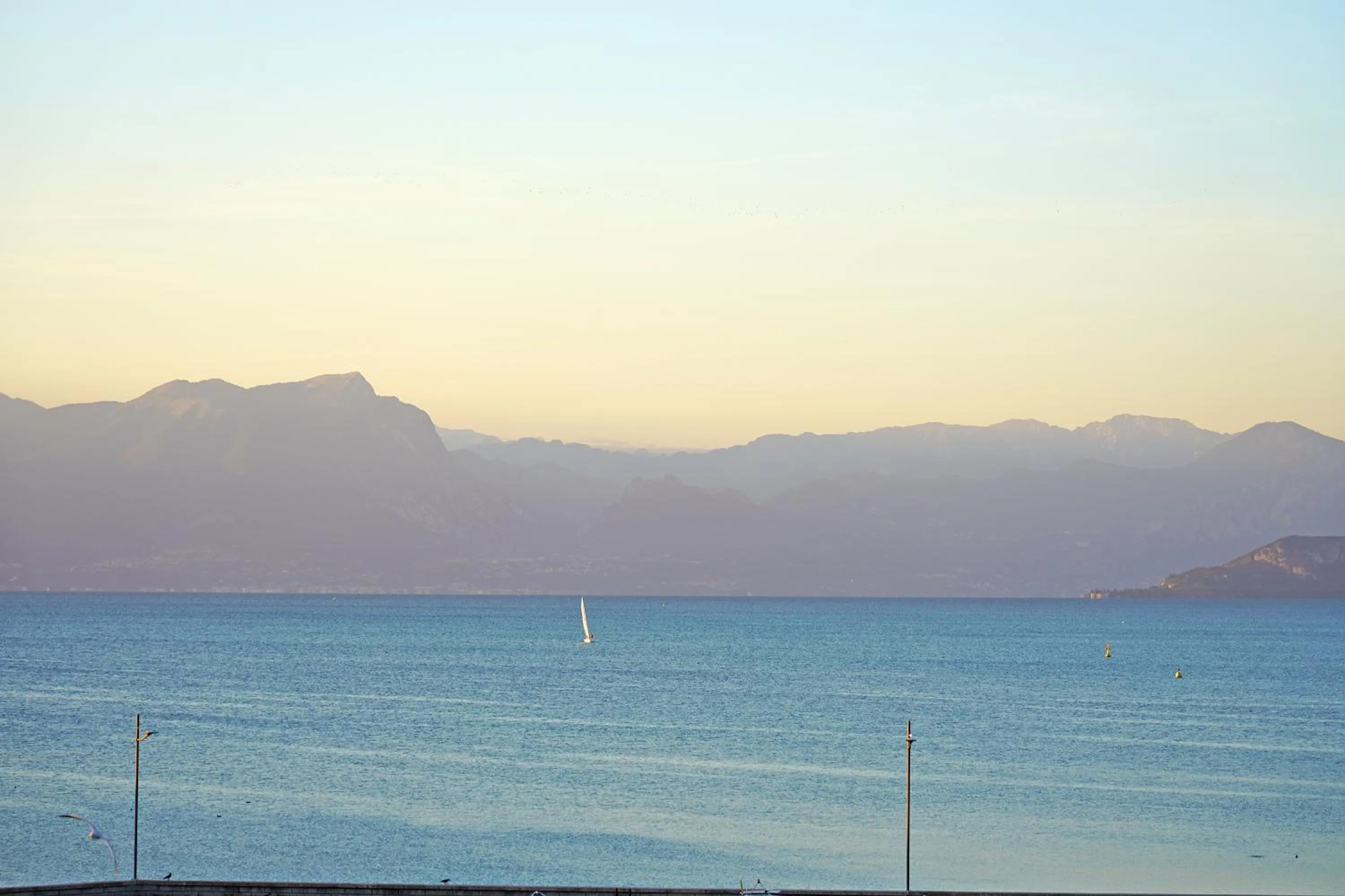 Camping Village Butterfly