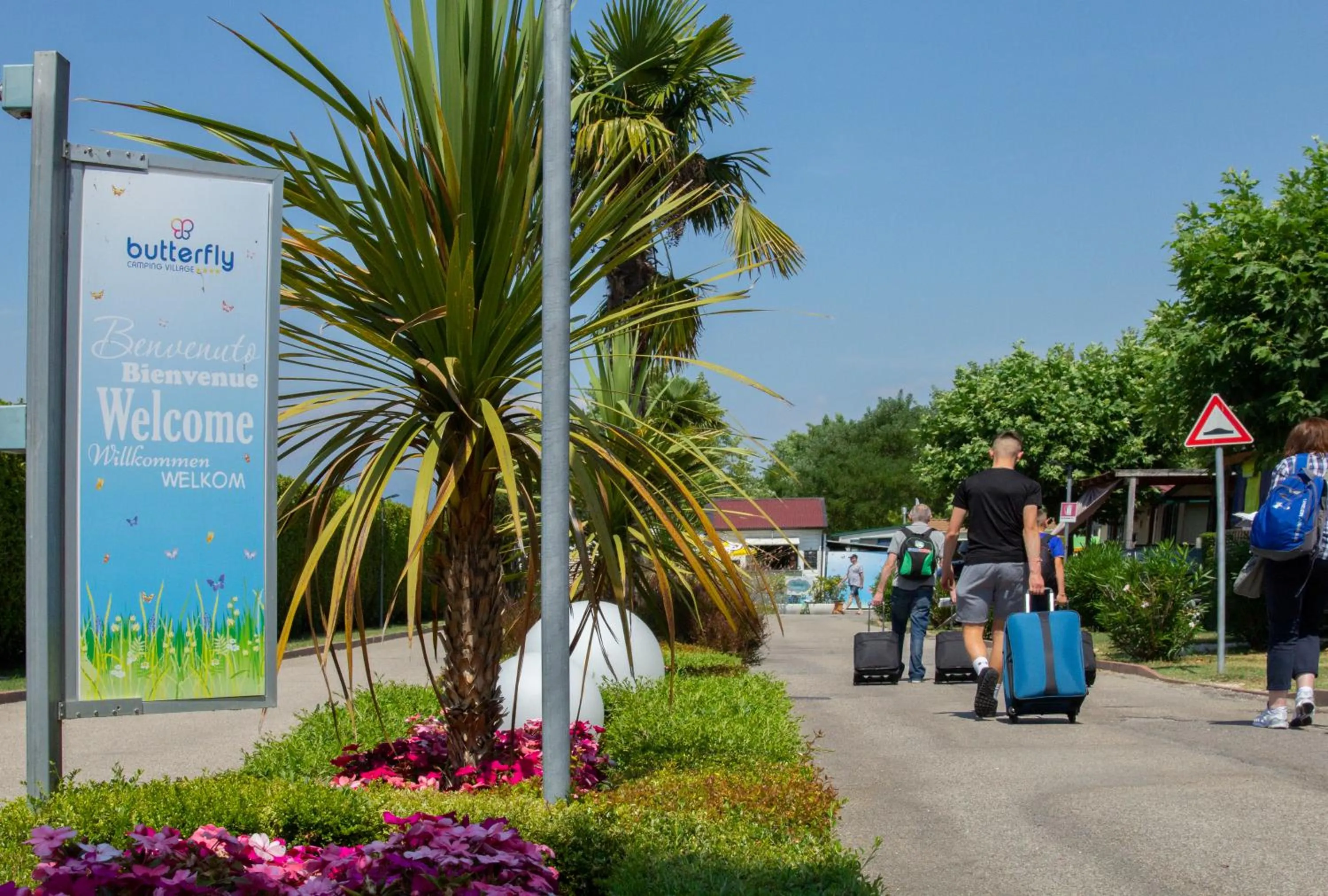 Camping Village Butterfly