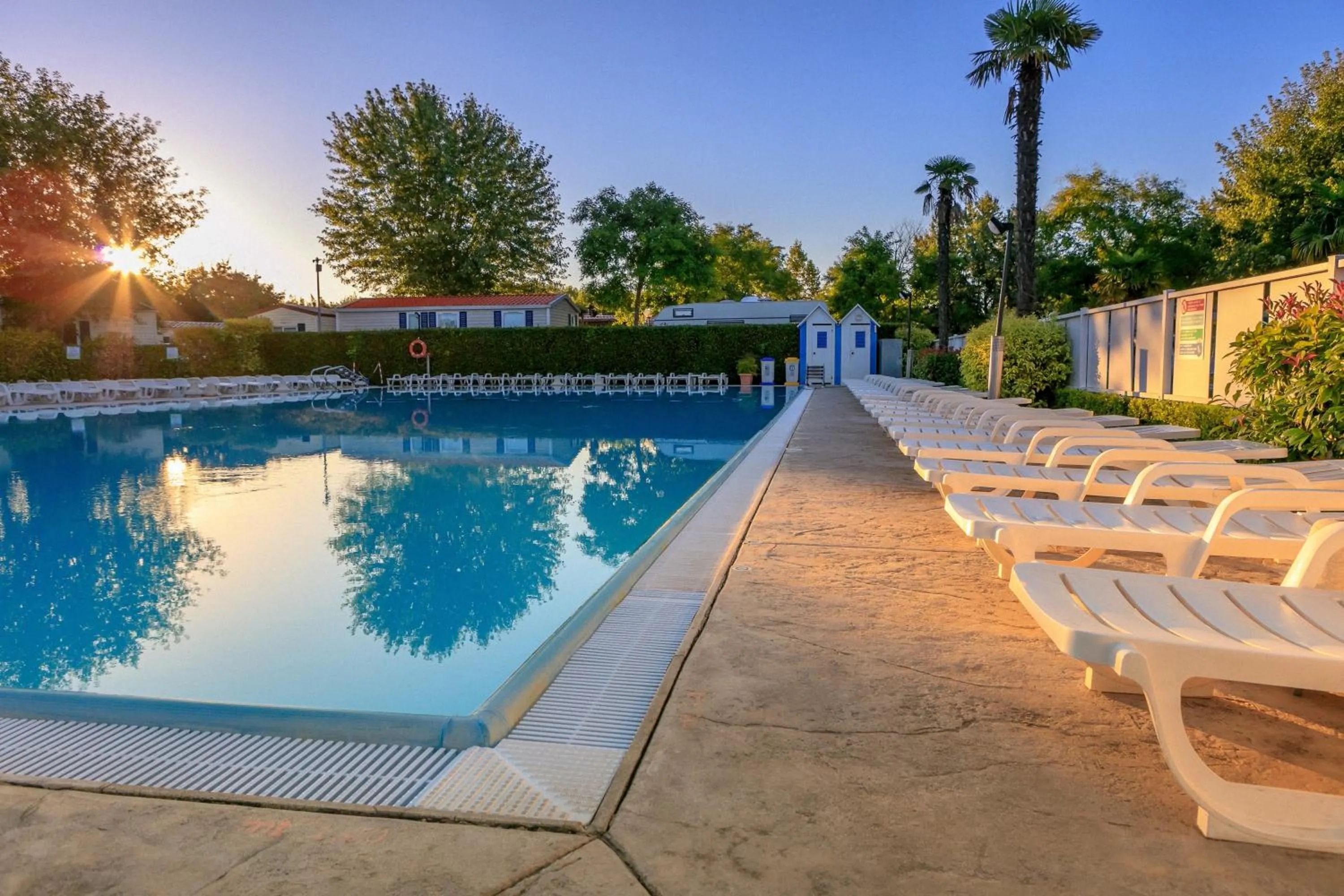 Summer in Camping Village Butterfly