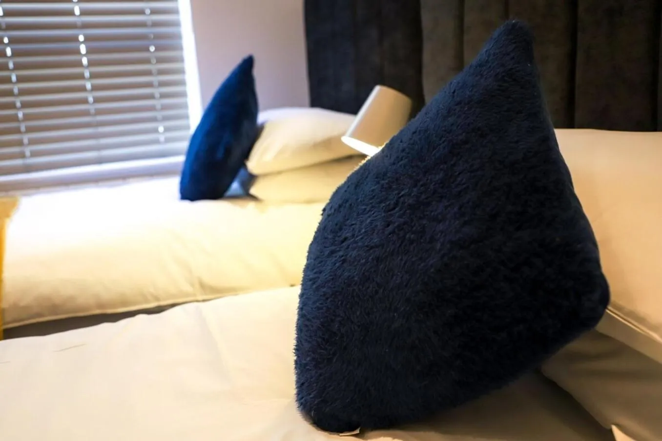 New- Modern 2br Apt Wifi Sleep5 City Centre