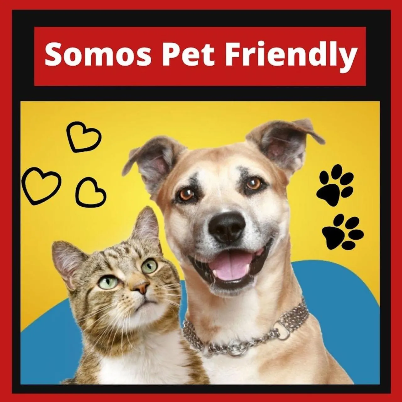 Pets in Pousada Chalé Suiço Bombinhas