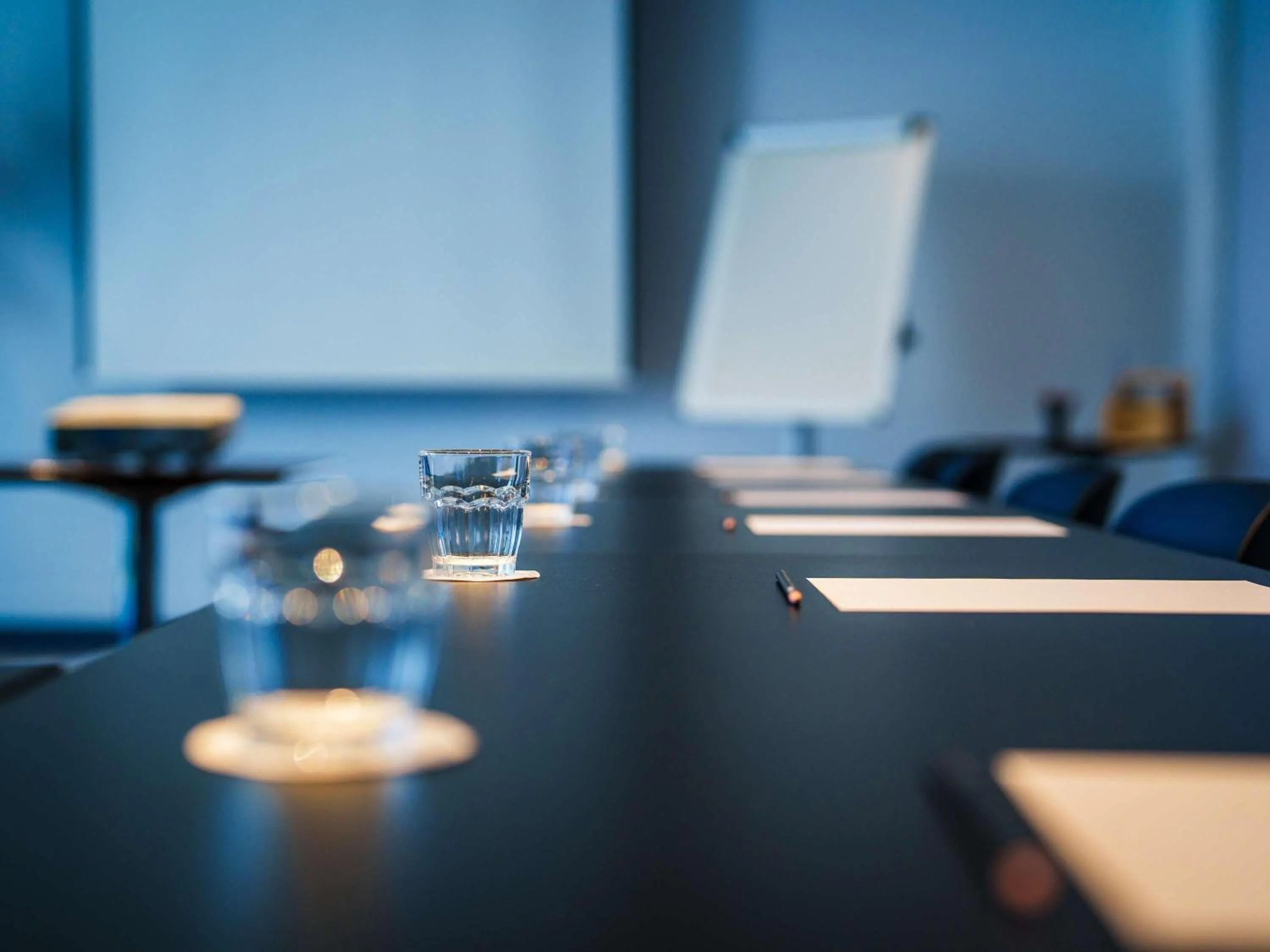 Meeting/conference room in Novotel Saint Avold