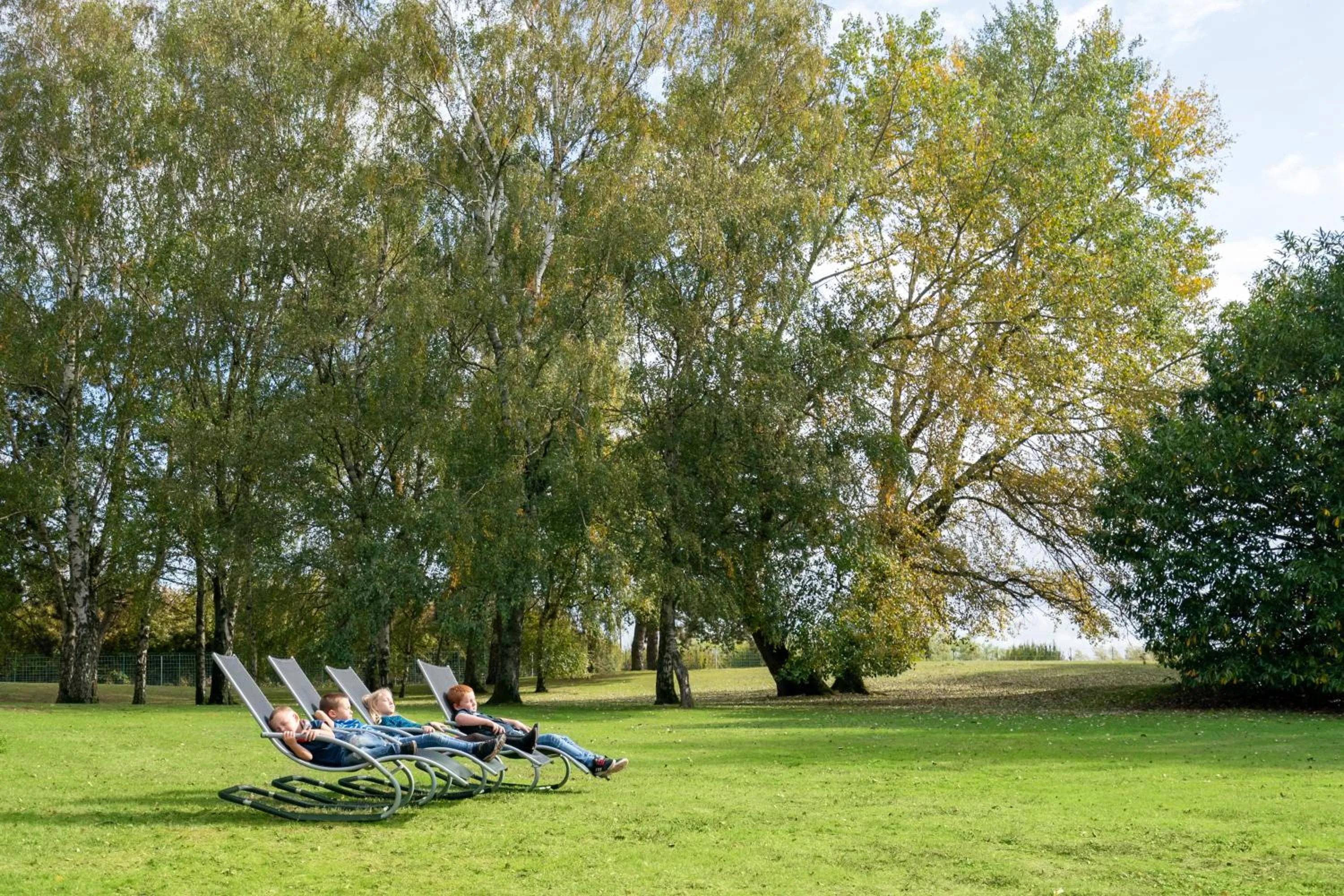 Garden in Novotel Roissy Saint Witz