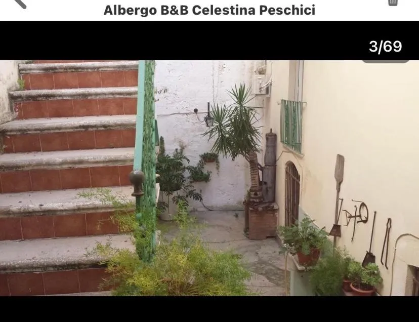 B&B Celestina