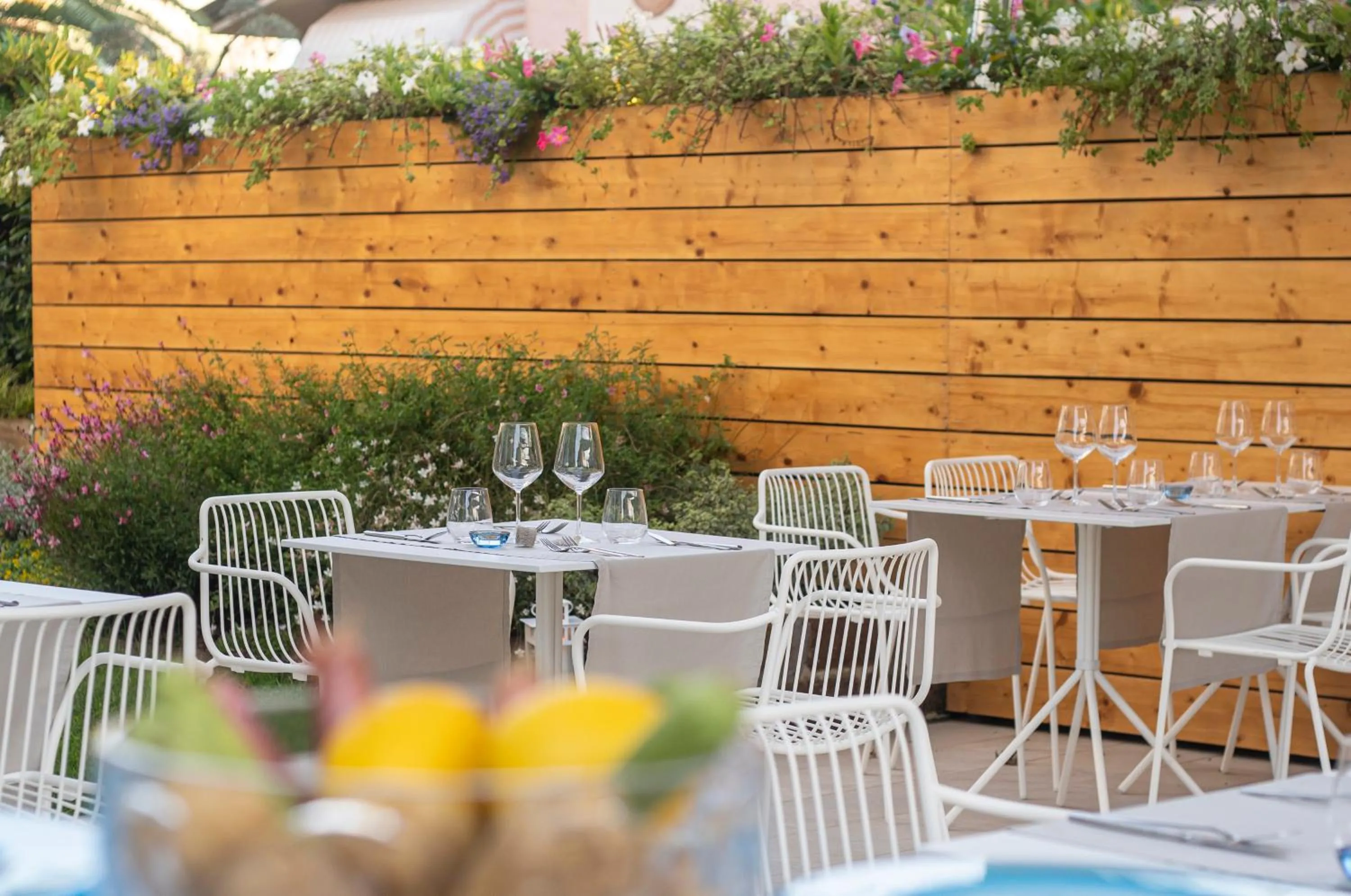 Restaurant/places to eat in Hotel Tarabella