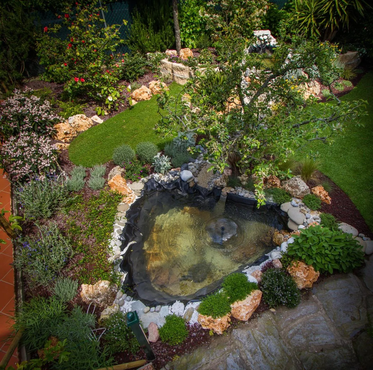 Garden view in Hotel Tarabella