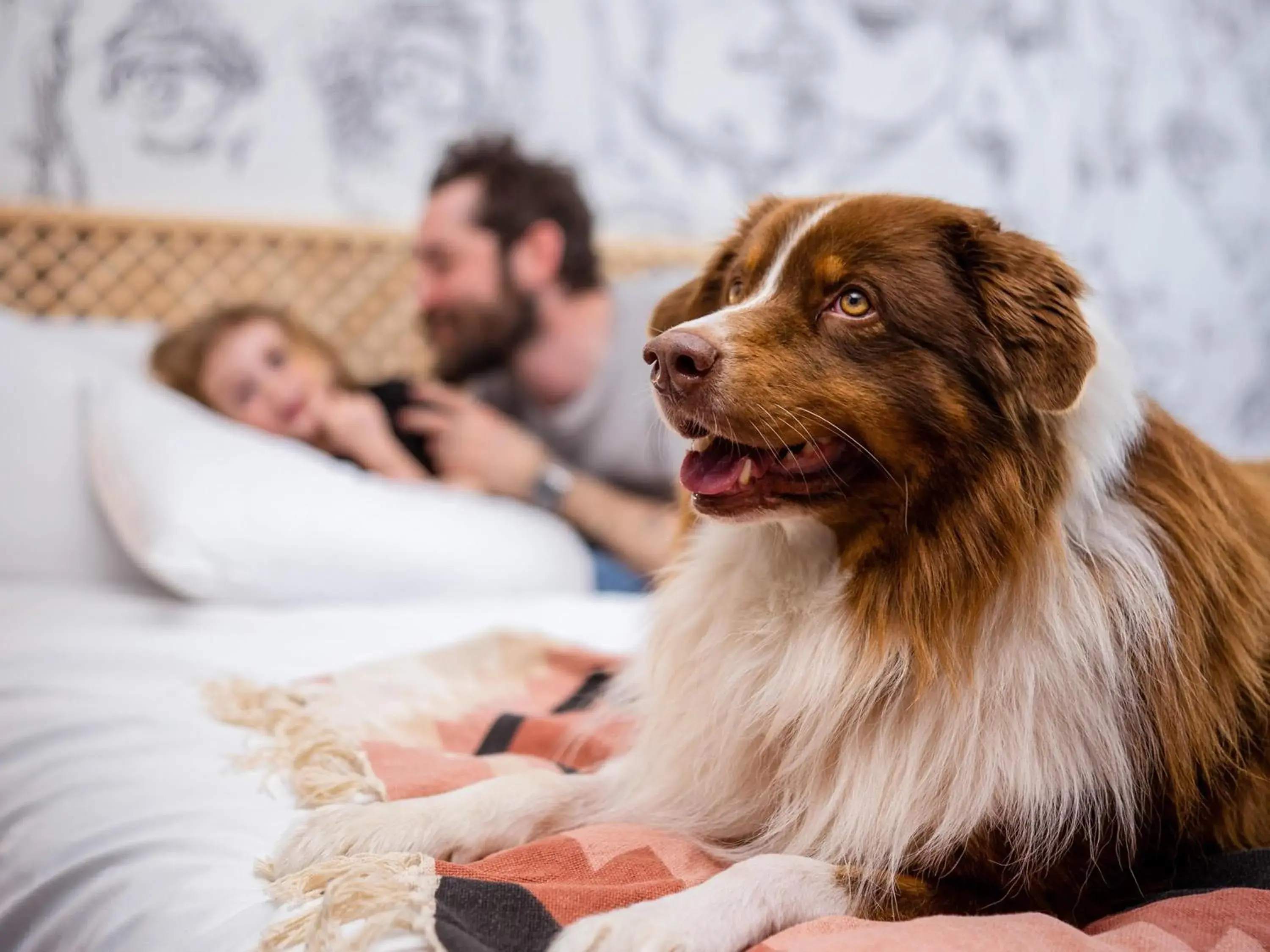 Bedroom in Mercure Reims Parc Des Expositions Bedroom in Mercure Reims Parc Des Expositions
