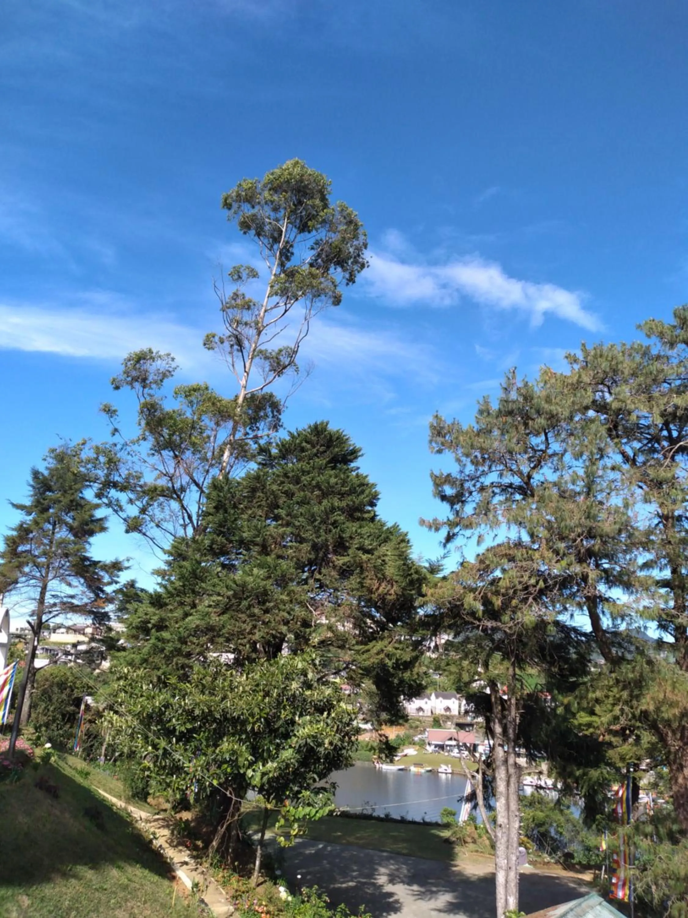 Spring in Eco Creations Nuwaraeliya