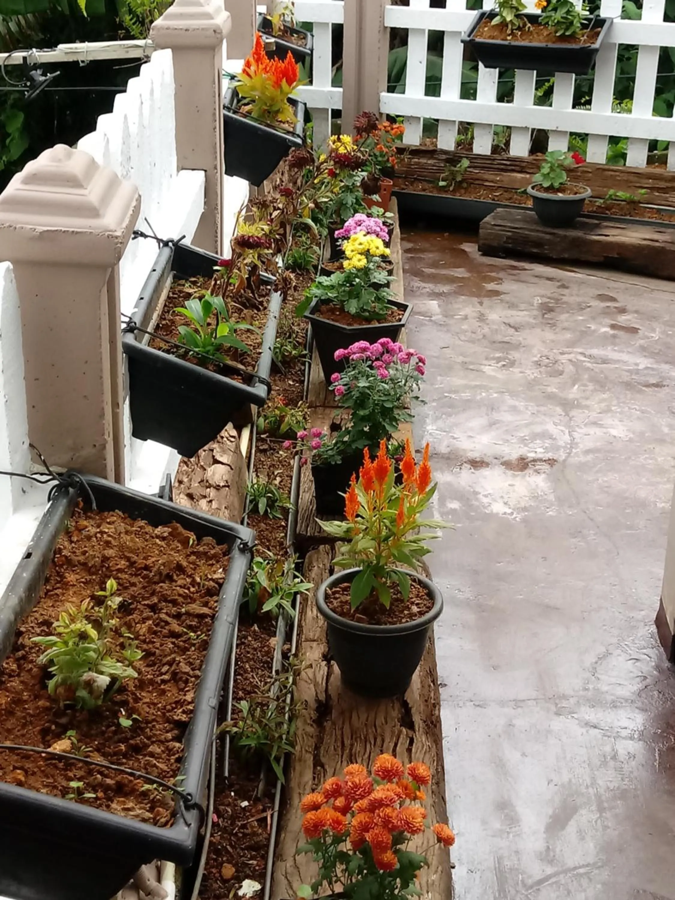 Patio in Eco Creations Nuwaraeliya