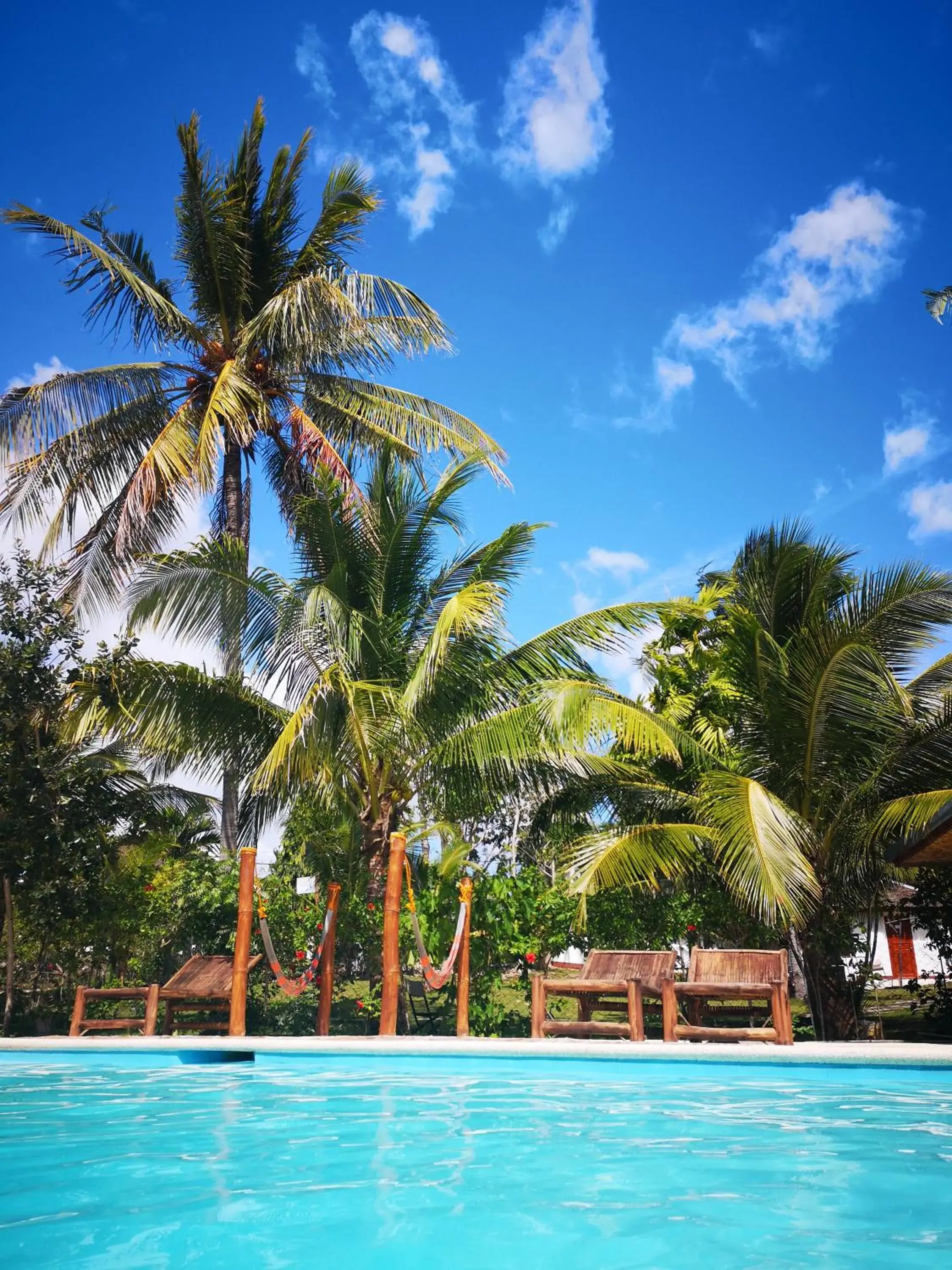 Swimming pool in Native House Resort powered by Cocotel Swimming pool in Native House Resort powered by Cocotel