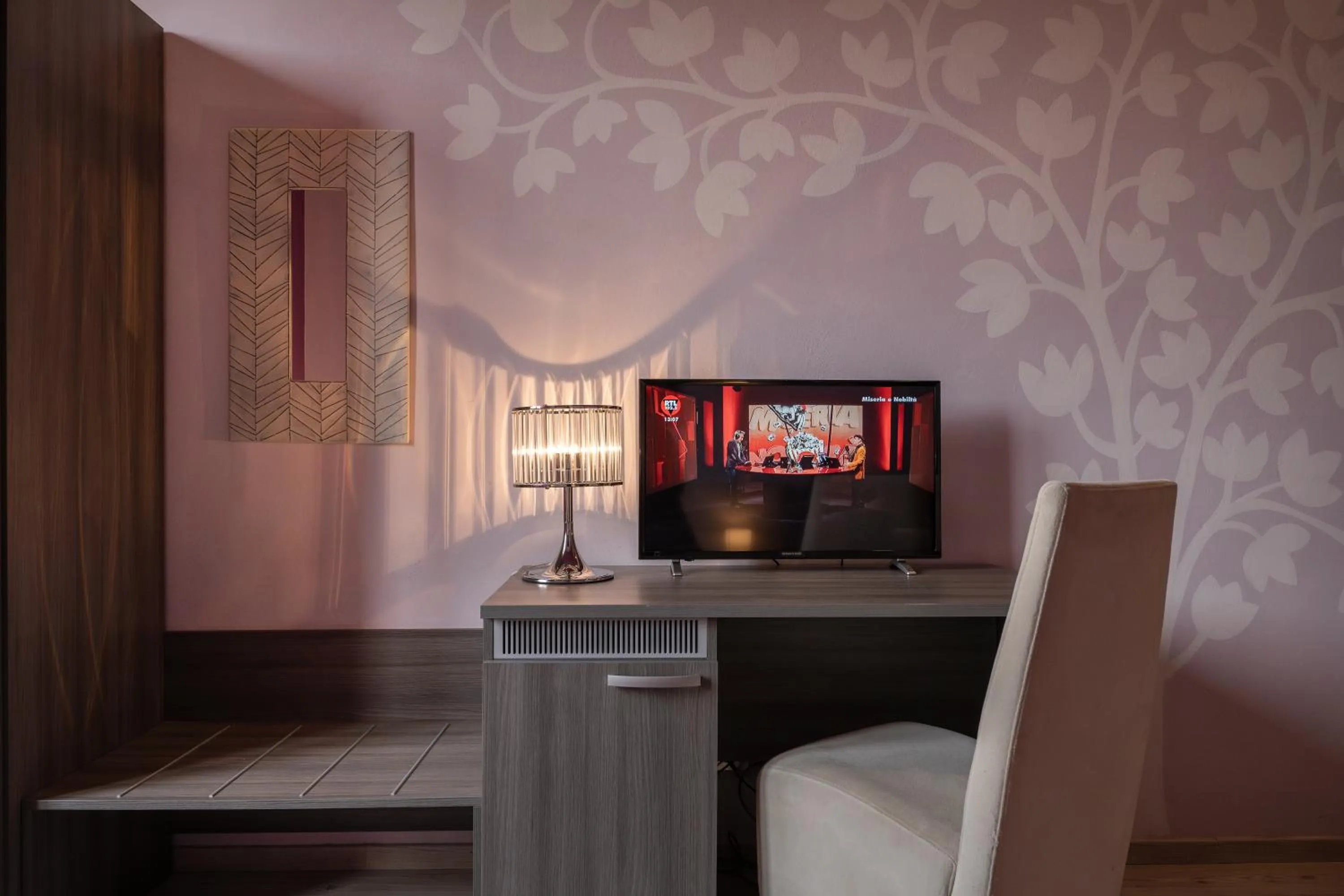 TV and multimedia in Hotel Palazzo Renieri - 3stelle S